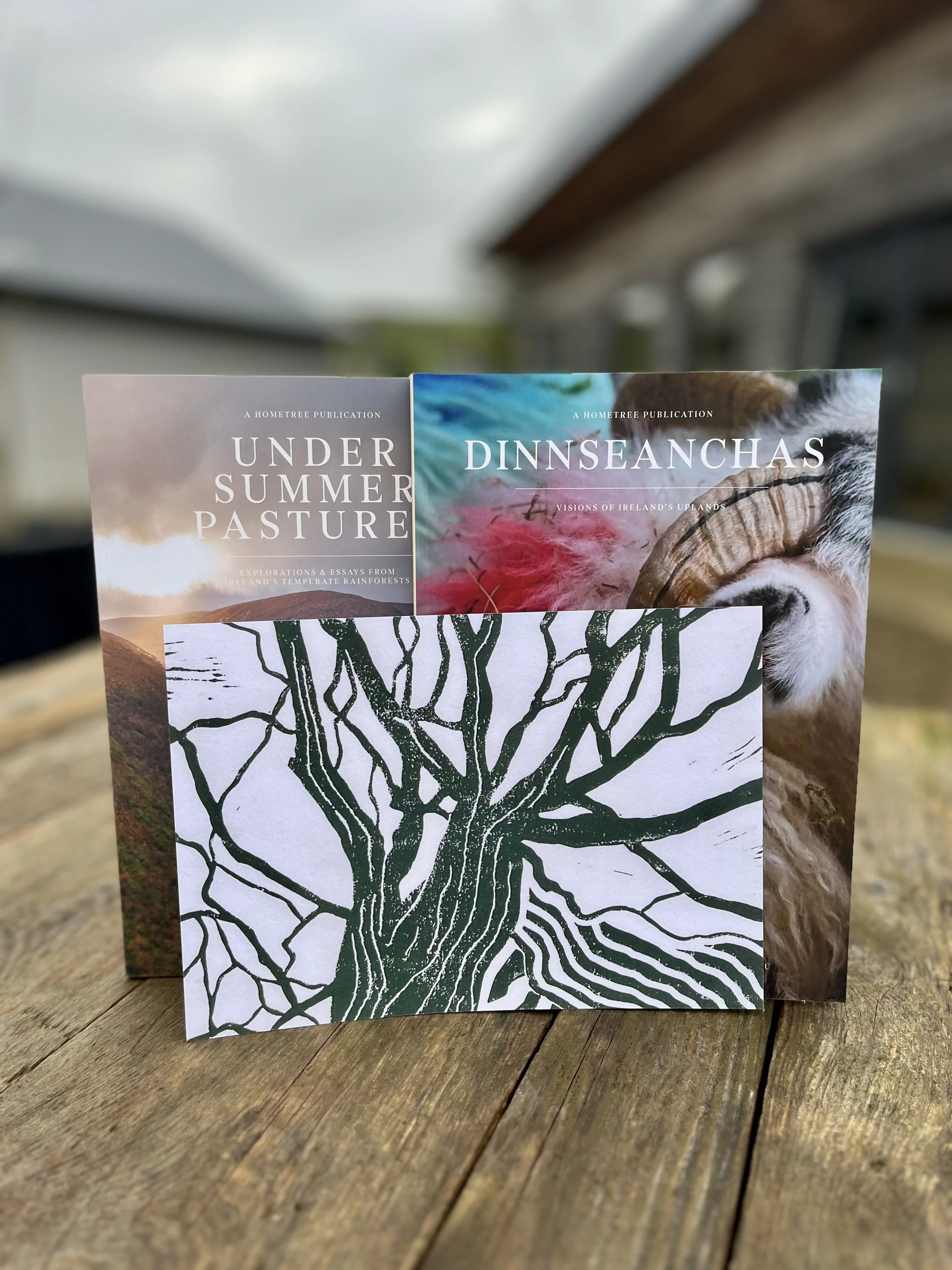 1 Native Tree Planted + Book Bundle