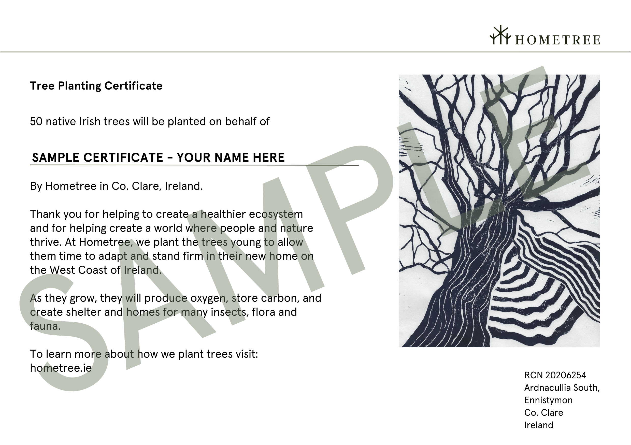 50 Native Trees Planted + Personalised Digital Tree Planting Certificates