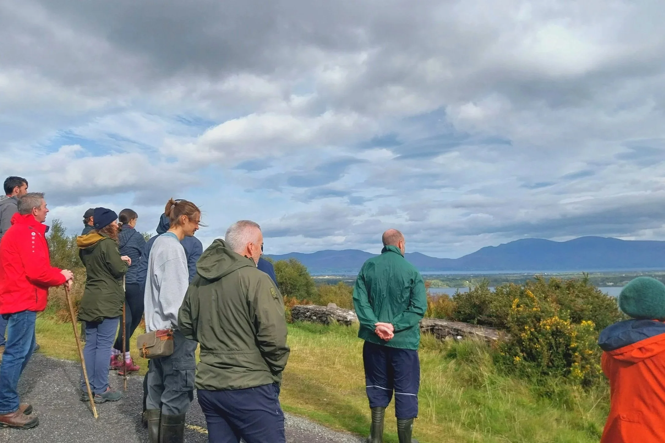 Community Conversations Report: How Do Irish People Really Feel About Nature Restoration?