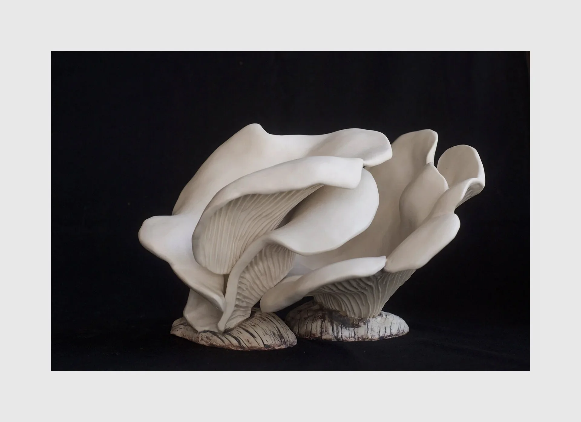 Angel Wings,
porcelaine,
10"x 12"x 12"
Sold