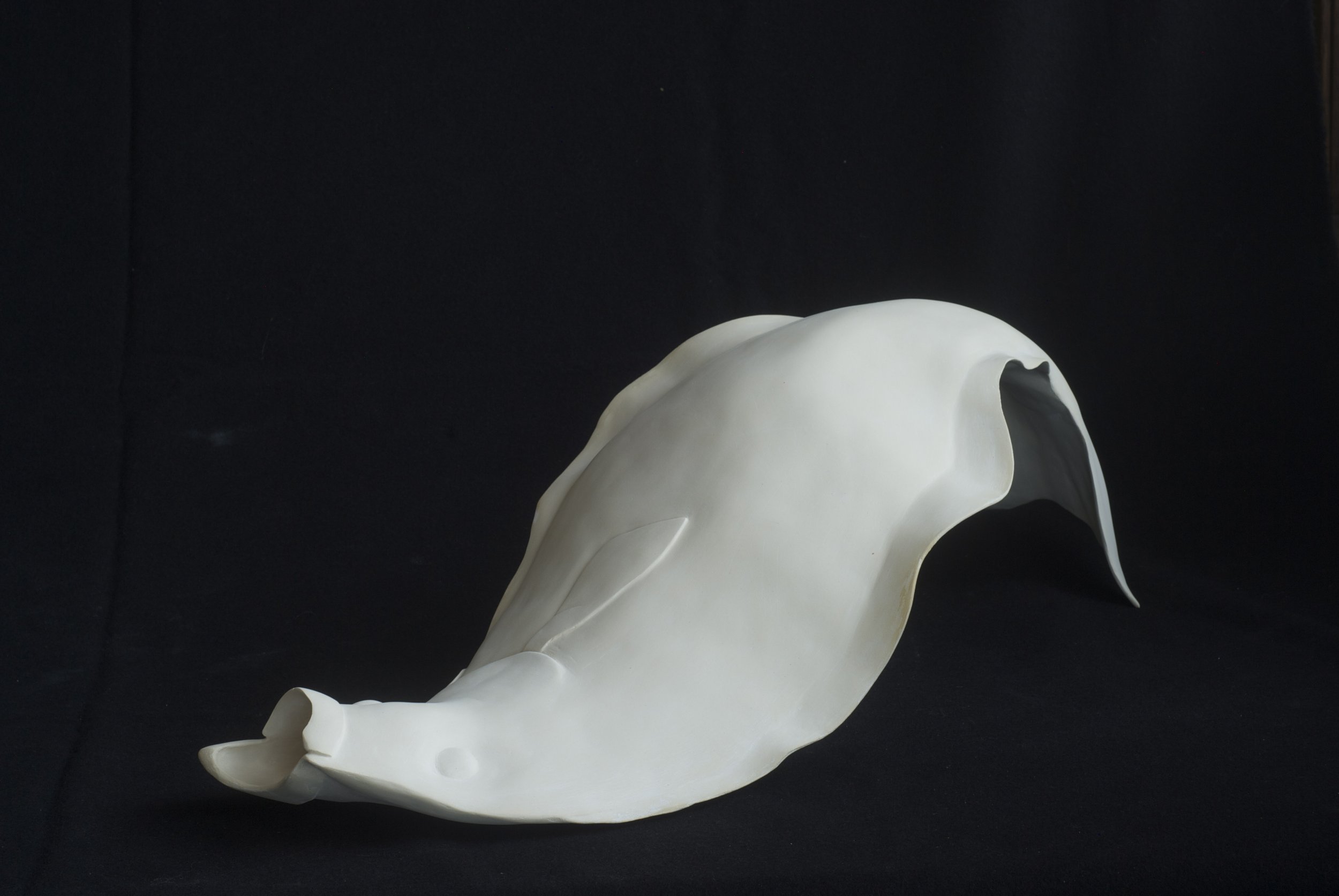 Halibut,
porcelain
22"x 12"x 10"
sold