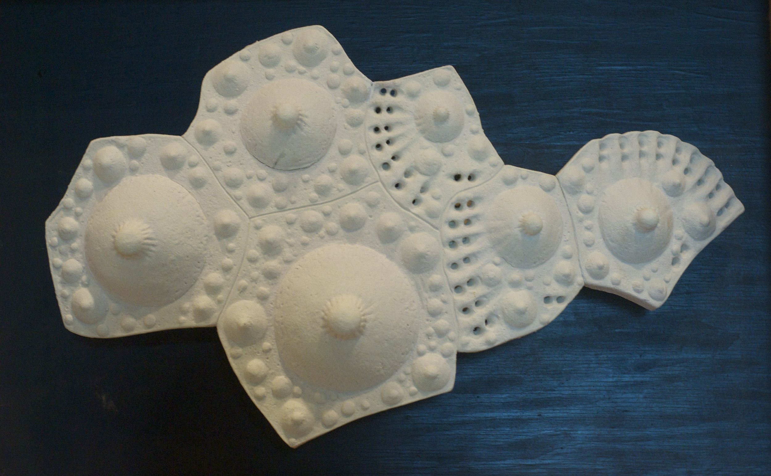 Sea Urchin Platelets
ceramic
20"x 12"
$450