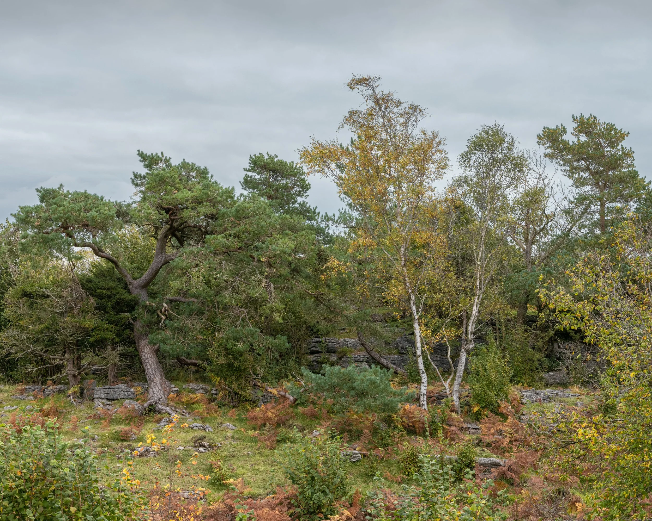 Escarpment-39.jpg