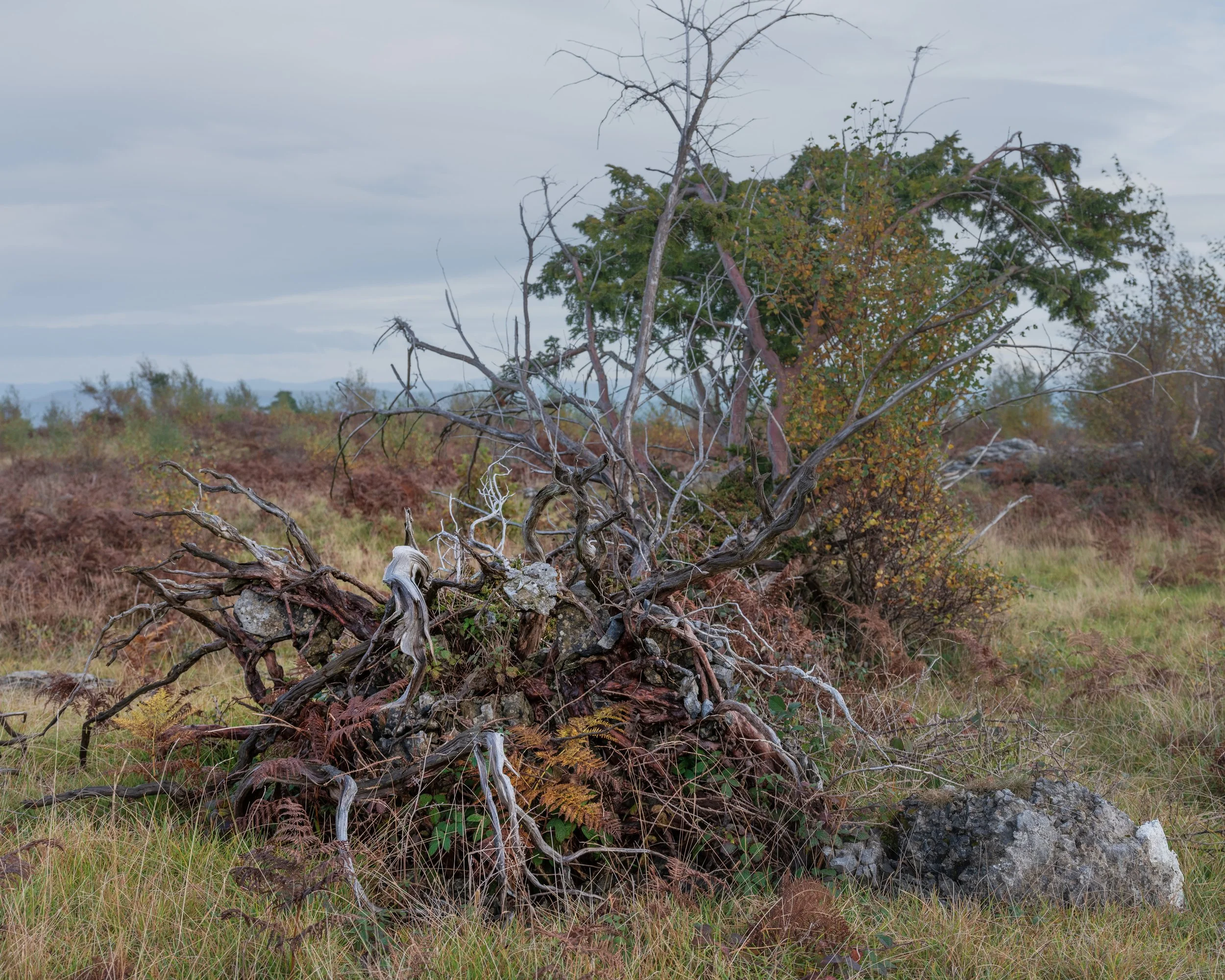 Escarpment-35.jpg