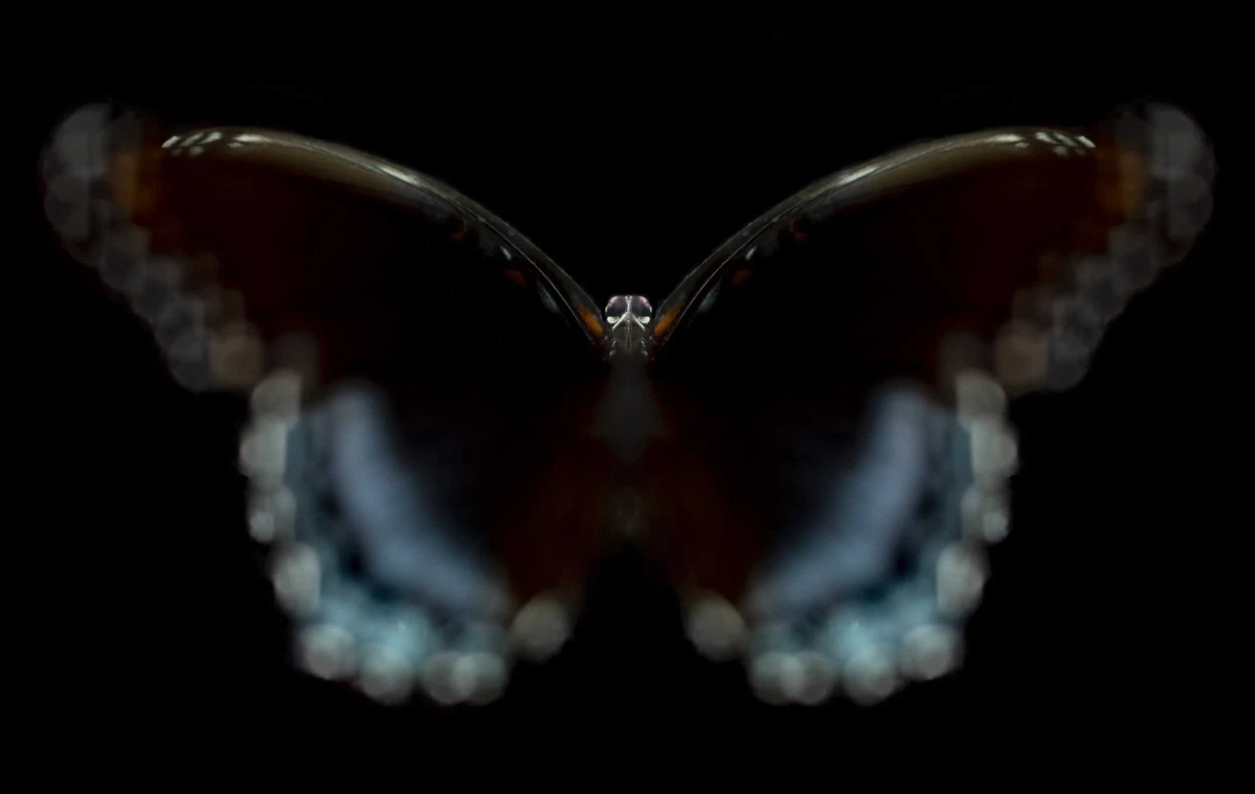 1T3A0223-2.jpg