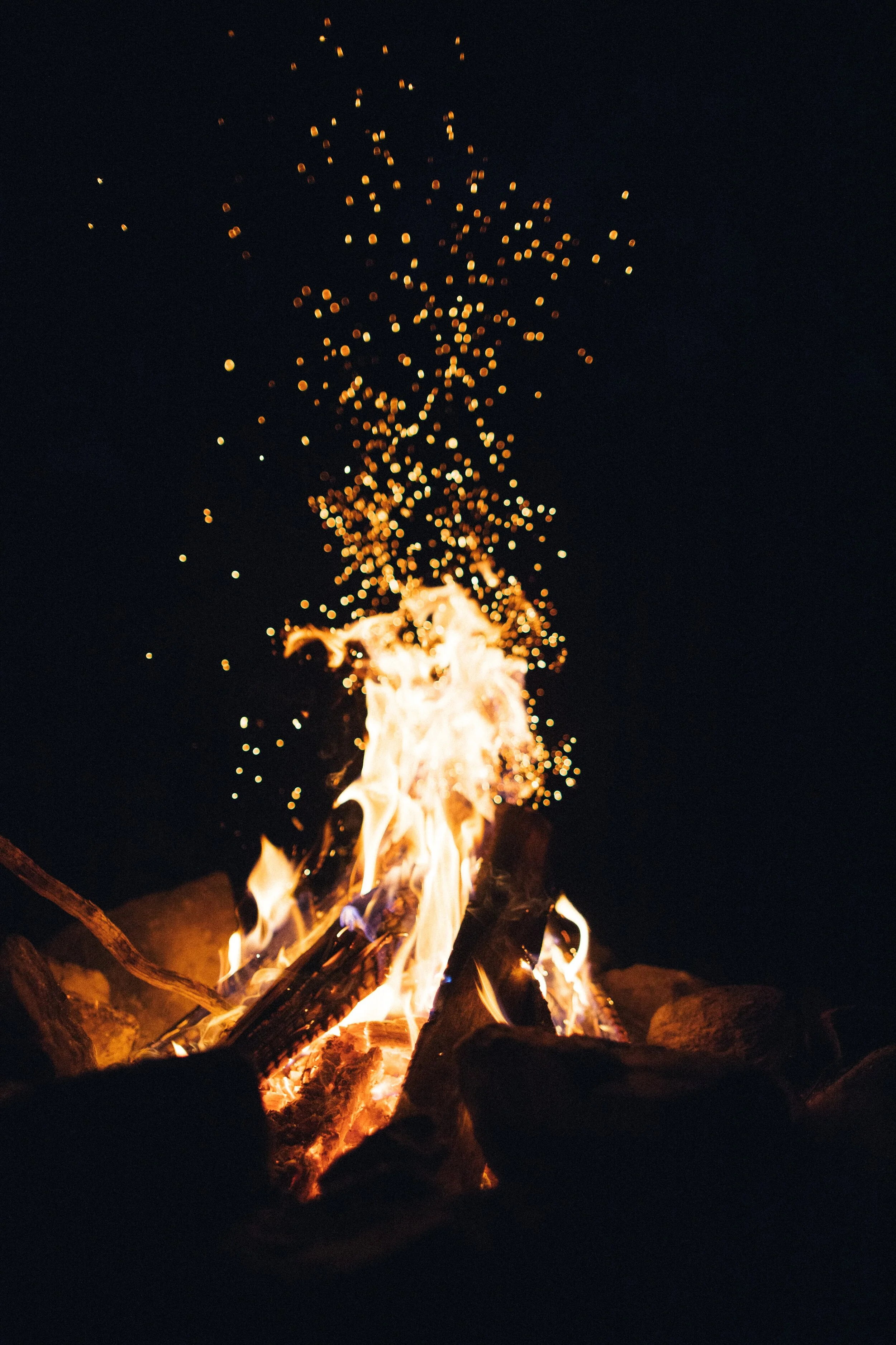 Forgiven, restored &amp; commissioned