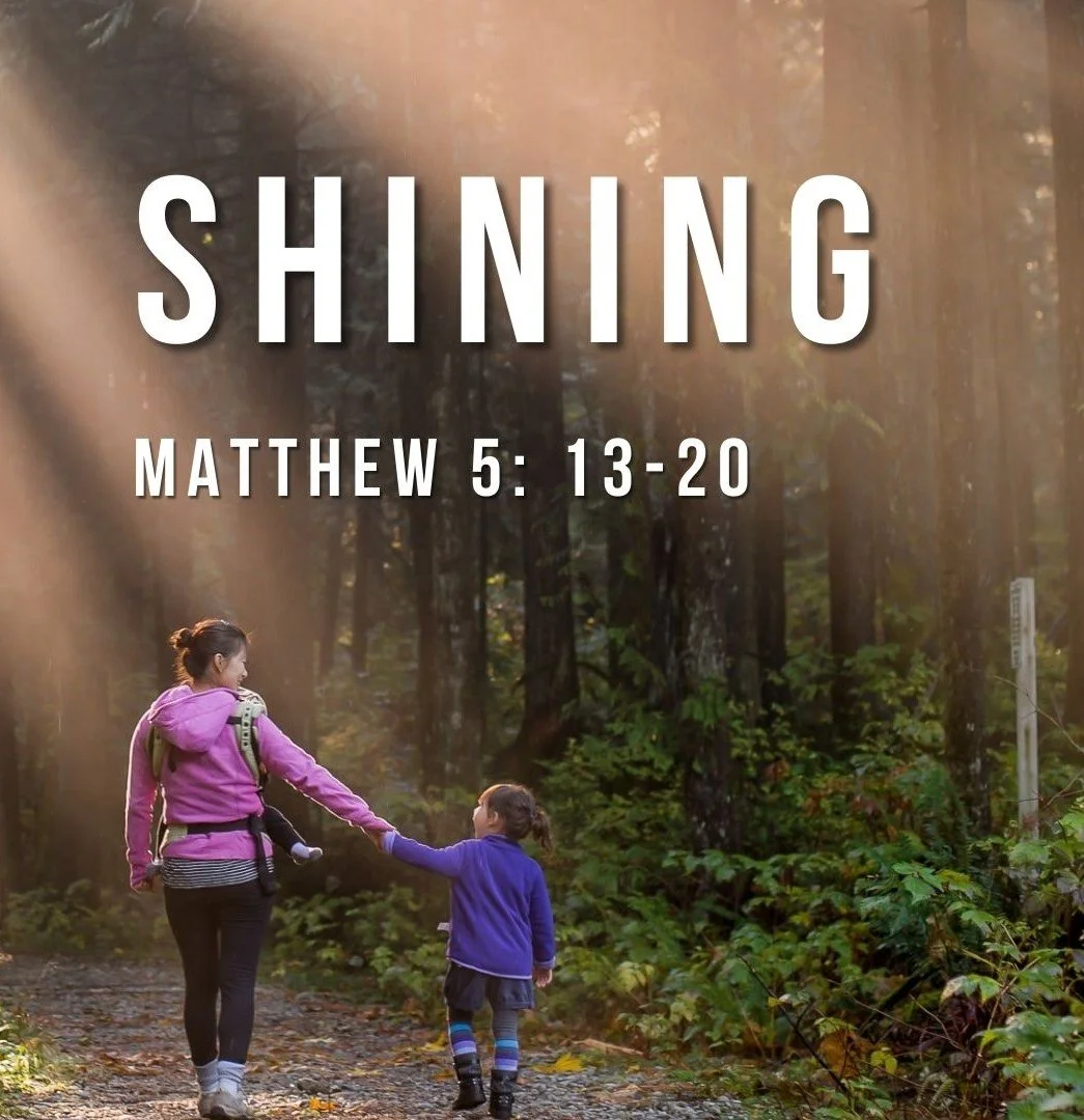 Shining (Salt of the Earth)