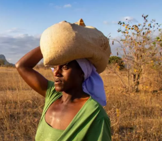 Mission Partner: Christian Aid