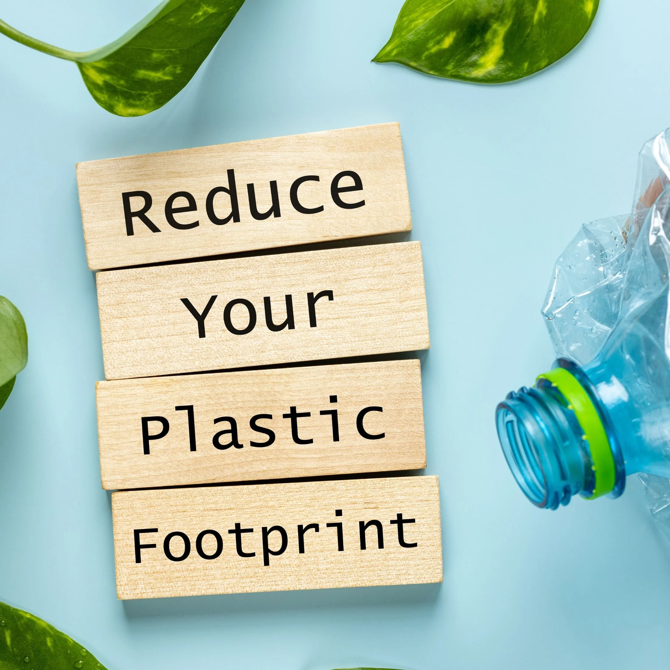 Plastic Free July: Small Changes, Big Impact