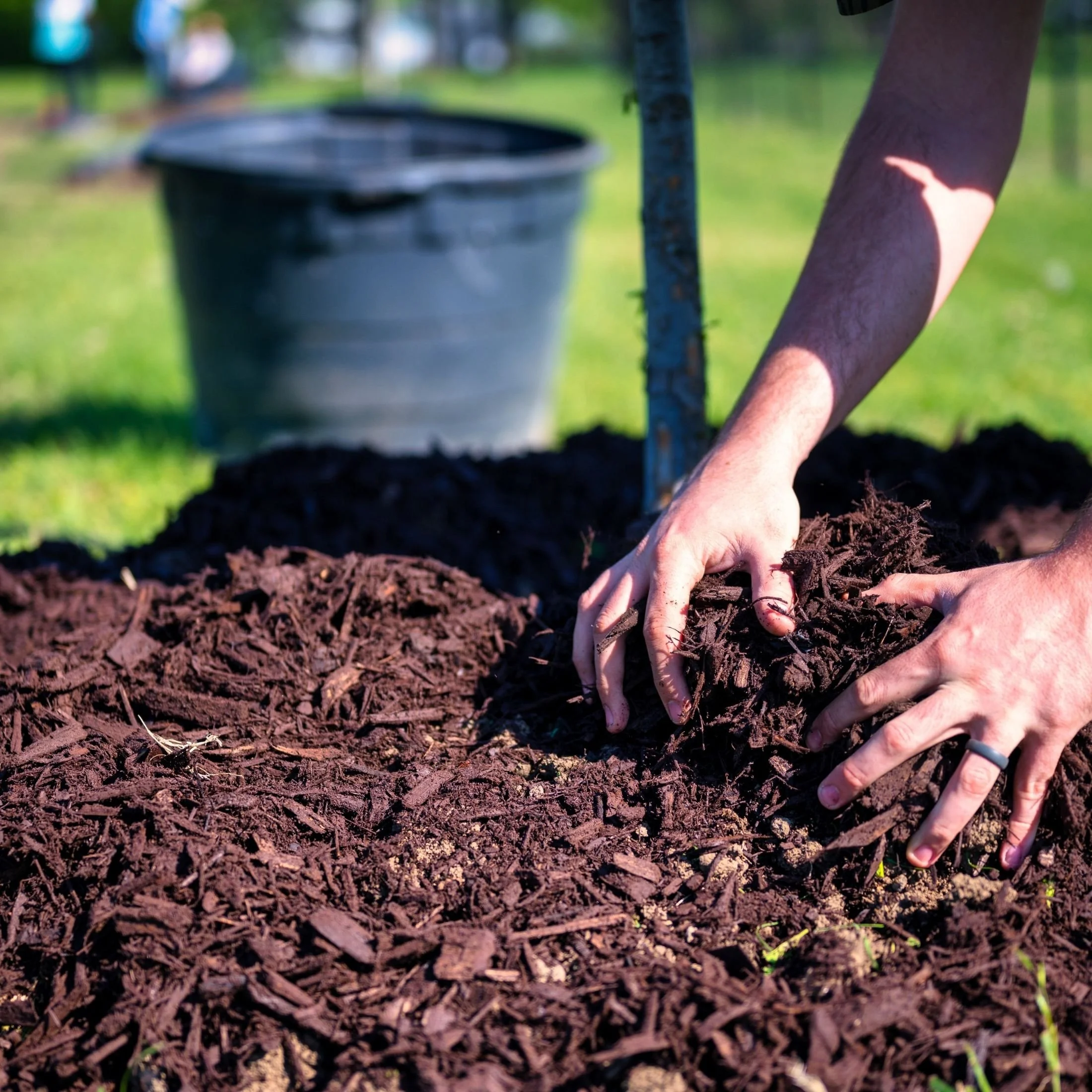Sustainable Gardening Starts with the Soil