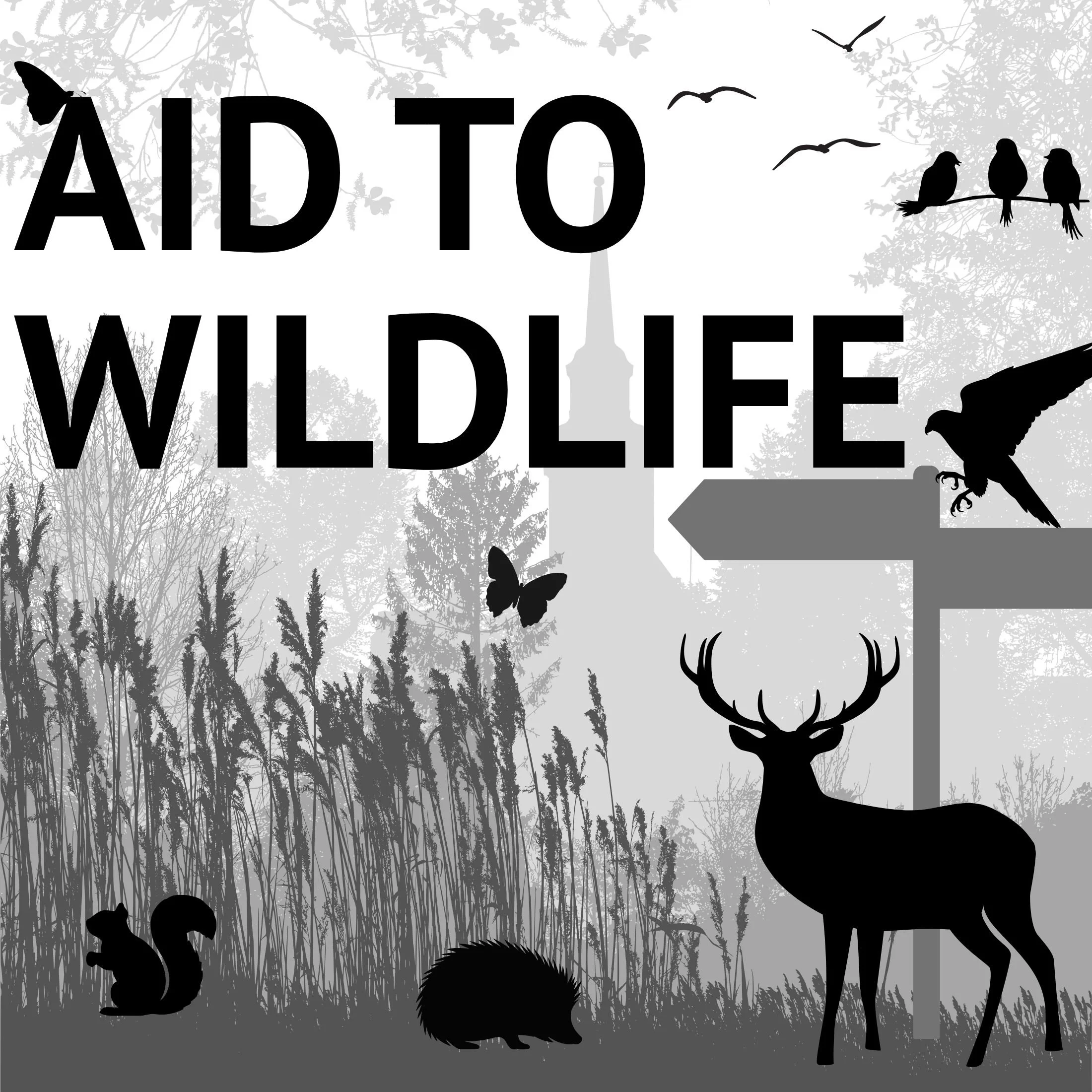 All Things Created: Aid to Wildlife