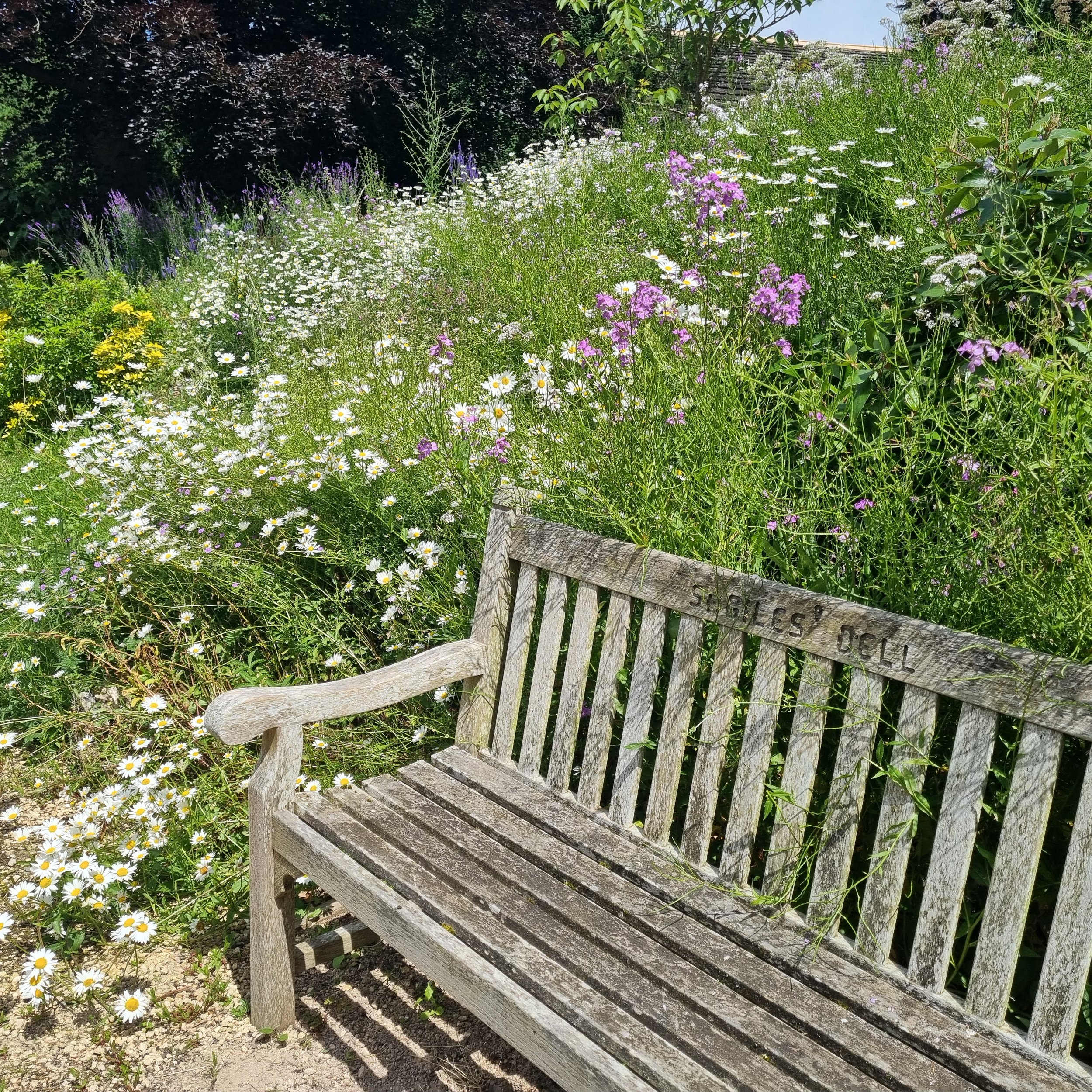 Love your Burial Ground Week: &nbsp;Caring for Our Churchyard Together&nbsp;