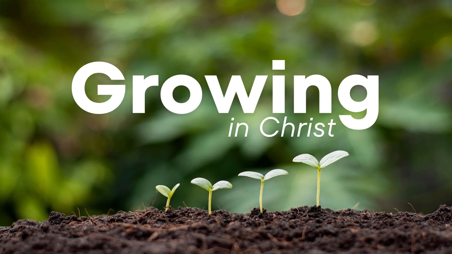 12/07 Growing in Christ: Godly Relationships