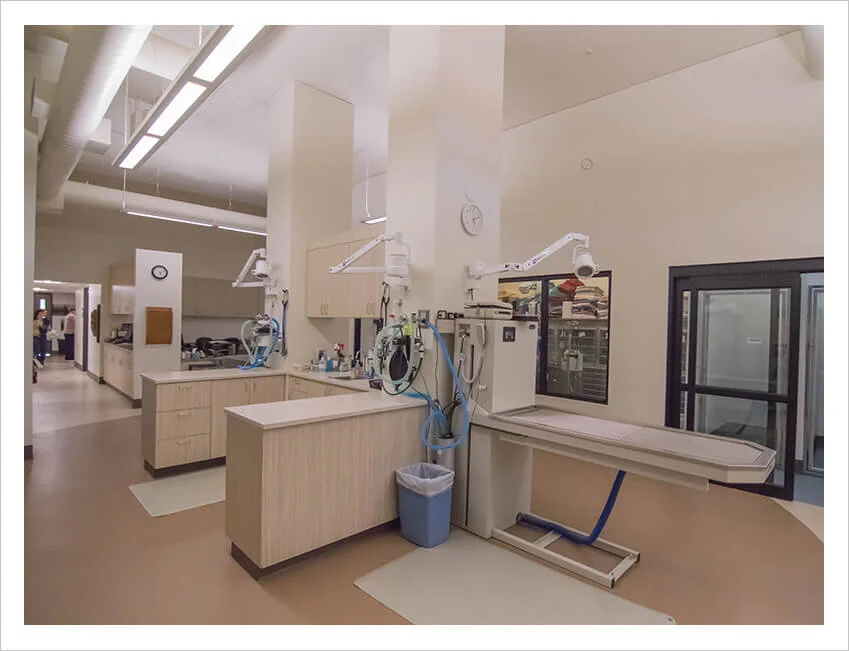 Emergency Veterinary Clinic of Tualatin — Pacific Crest Structures