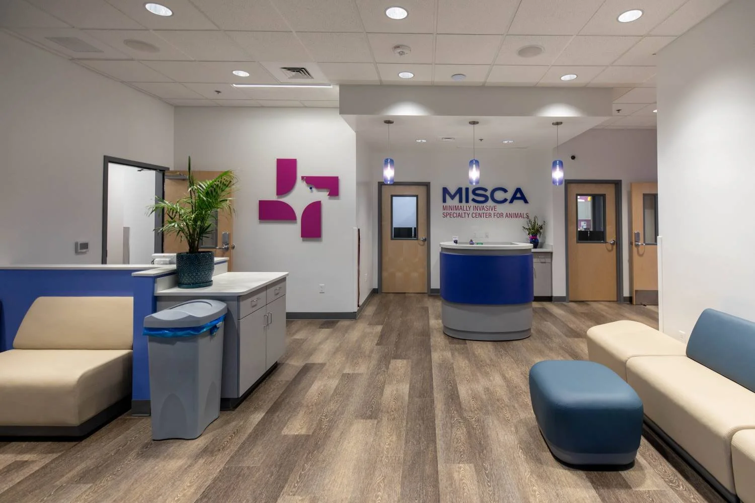MISCA-1w2.jpg