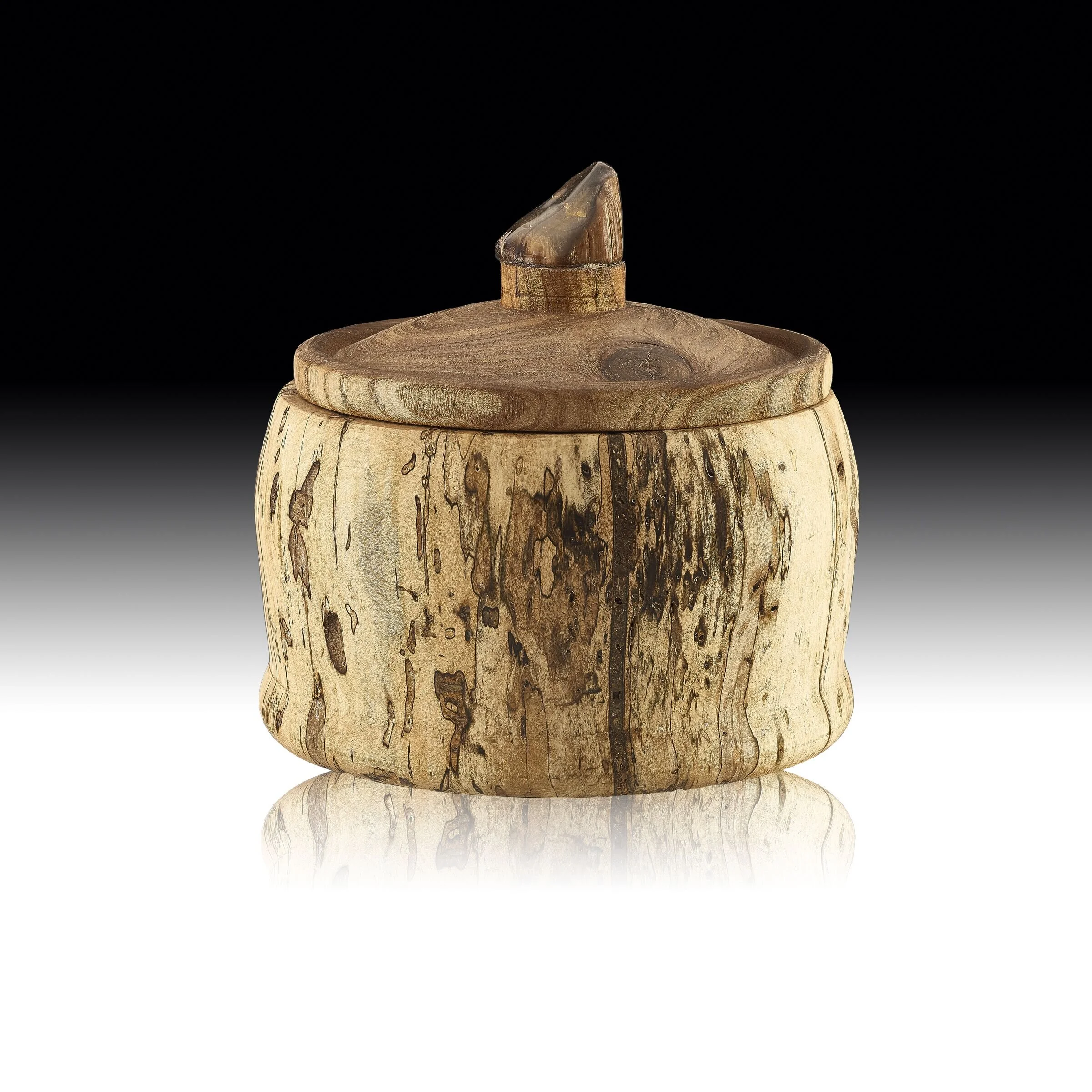 Spalted Maple with Petrified wood stone and Maple top.jpg