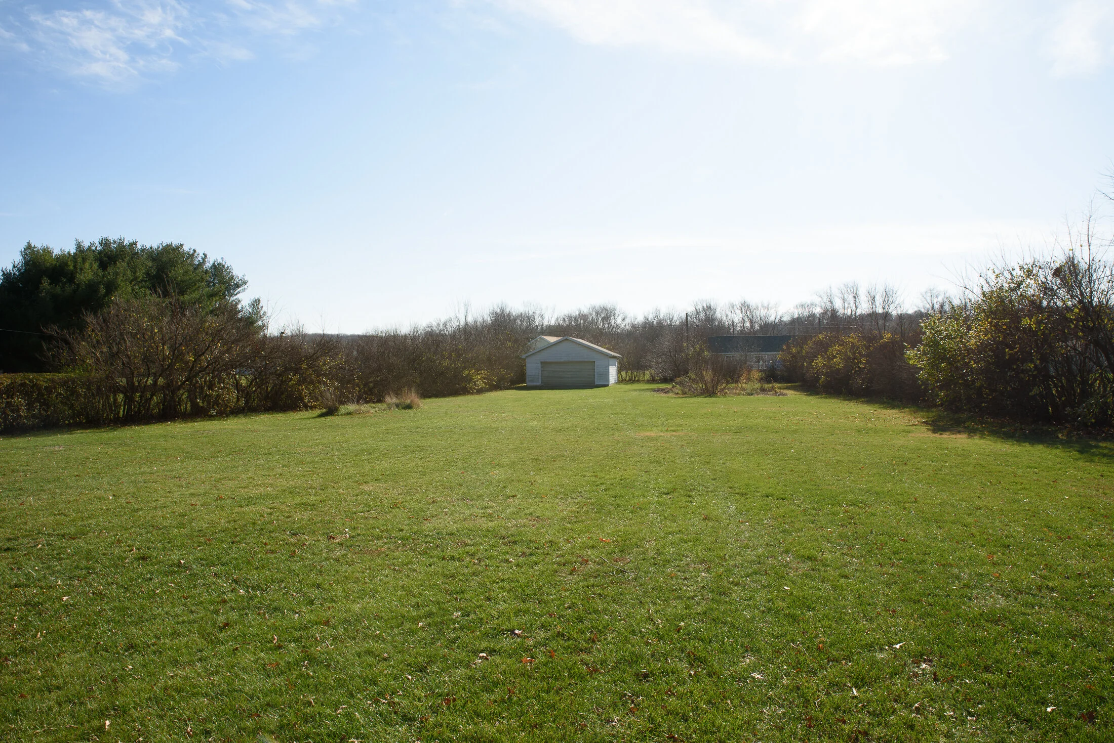 Large Back Yard View