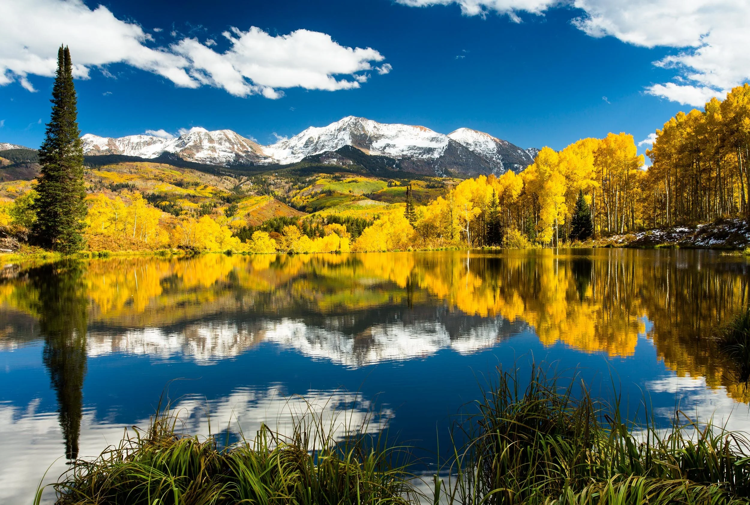 Daydreaming At The Beaverpond