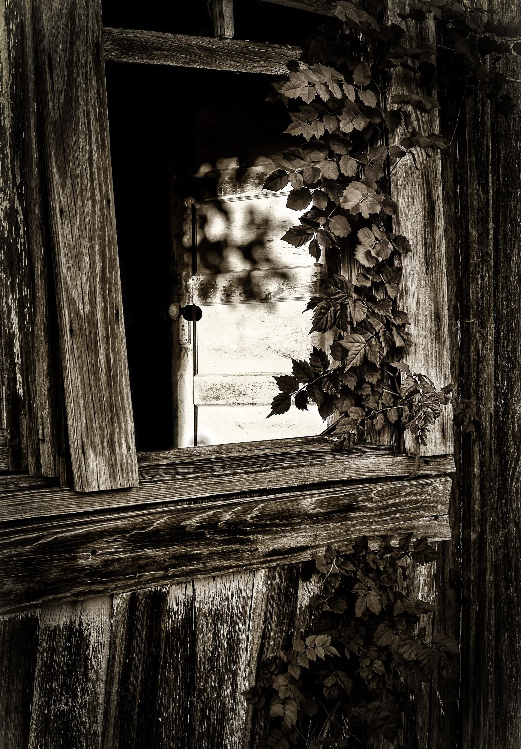 The Door Of Perception