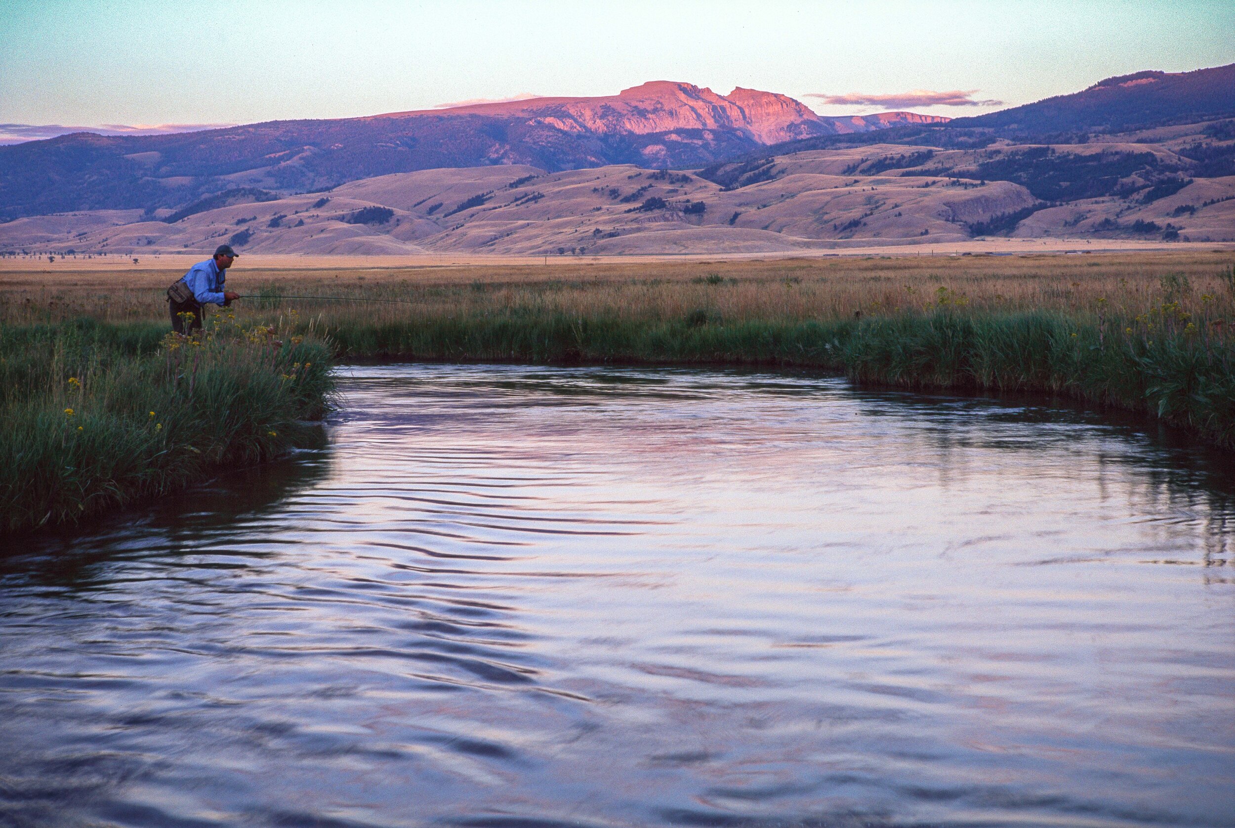 Casting a Big Shadow.jpg