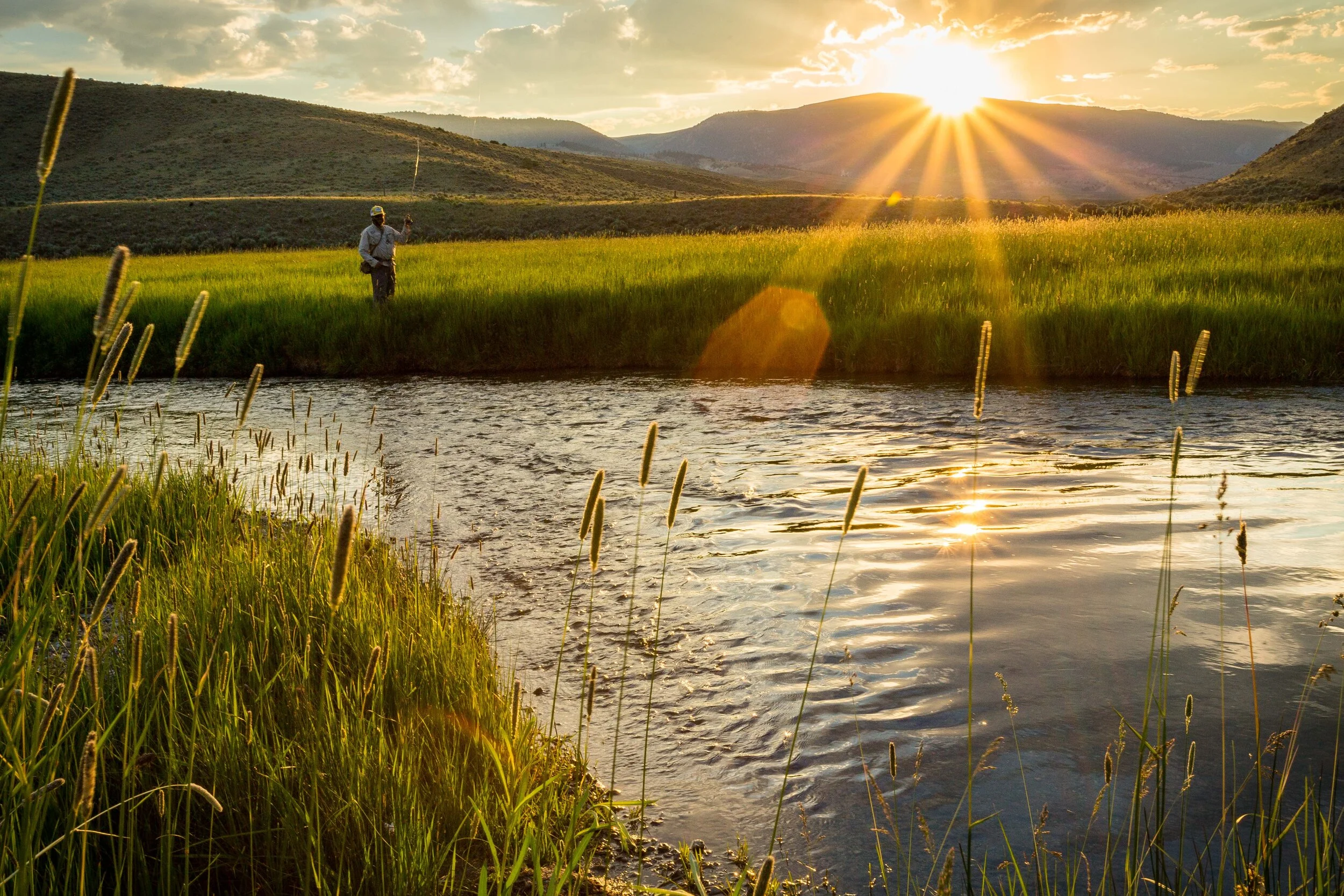 That Evening Light.jpg