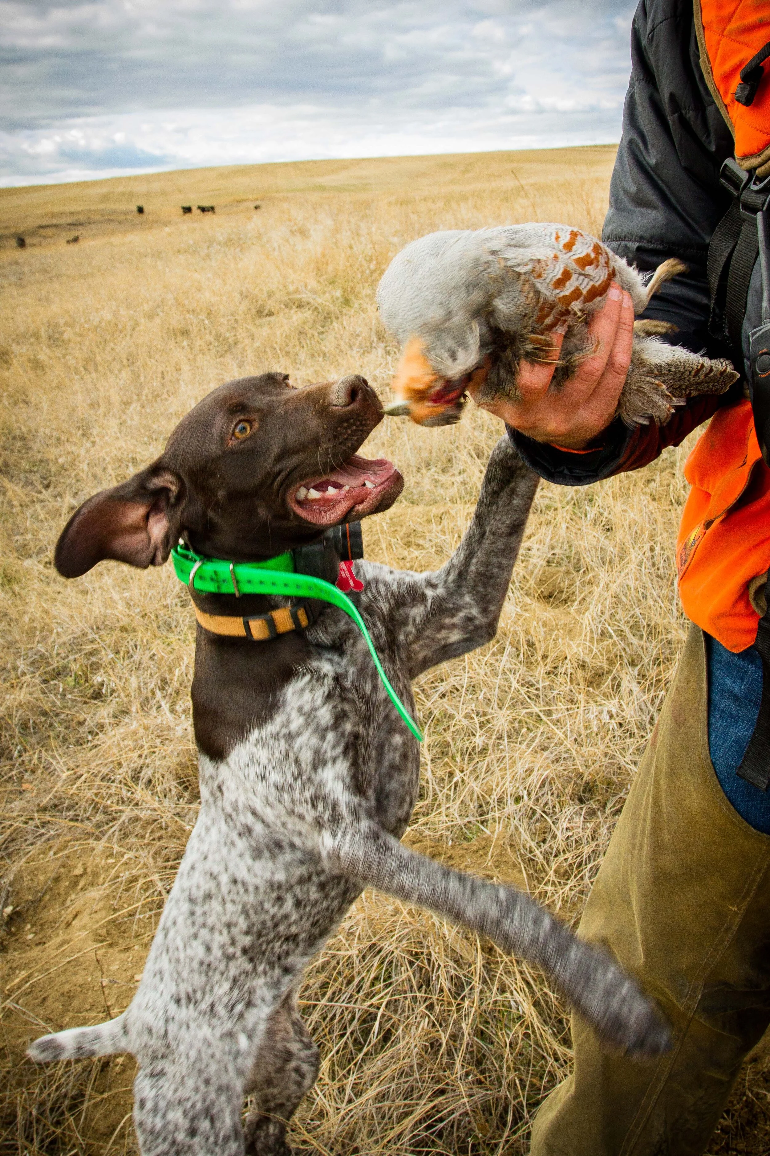 Valle de Oro November 2019-16.jpg