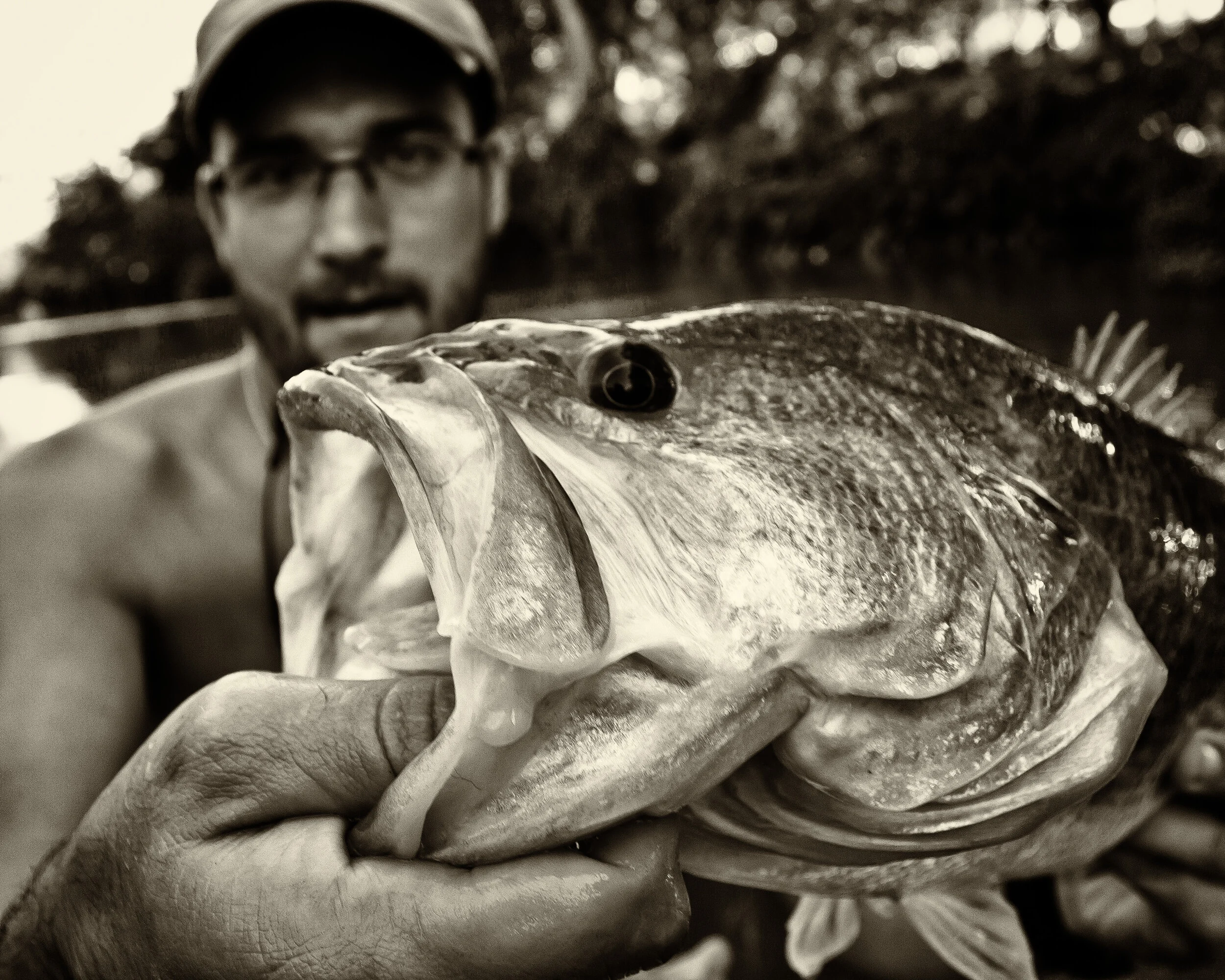 Little Miss Piggy.jpg