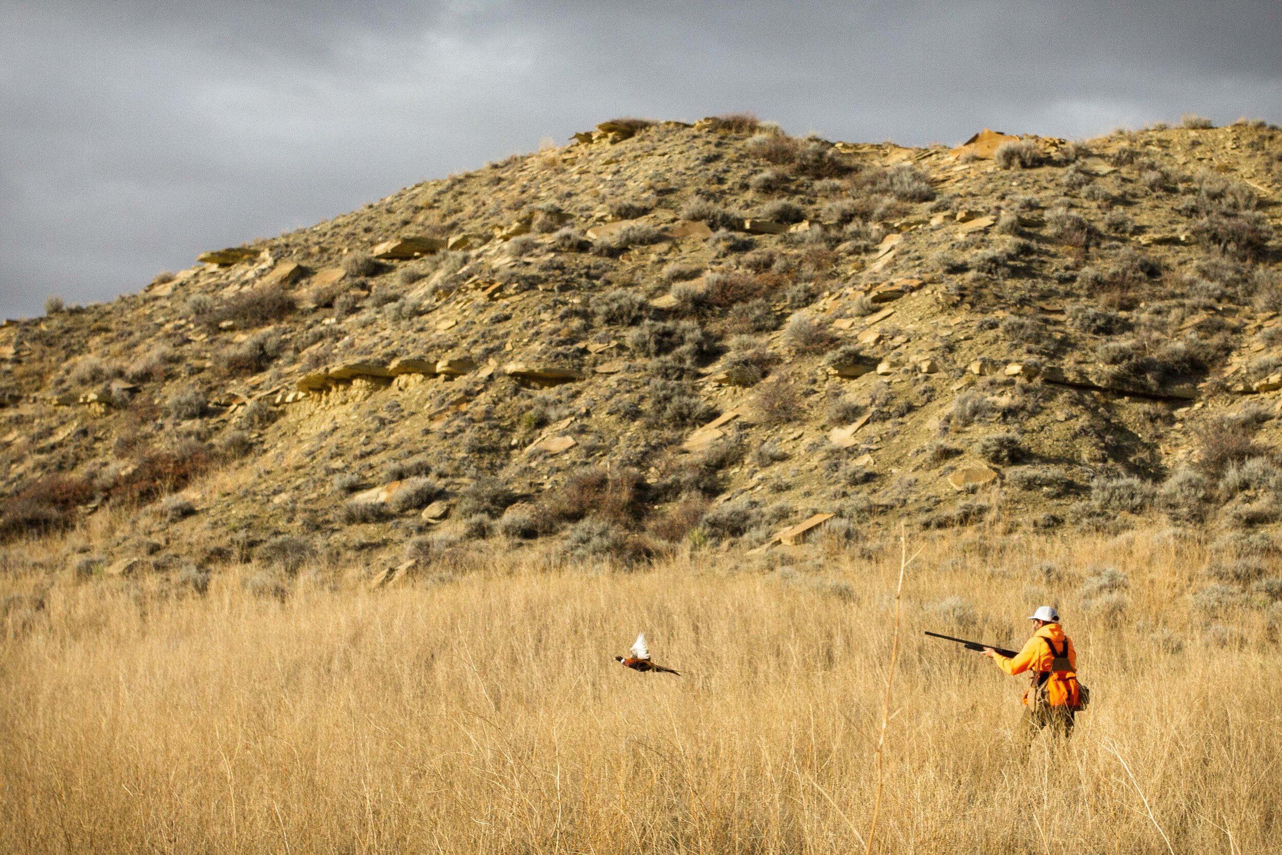 Valle de Oro November 2019-26.jpg