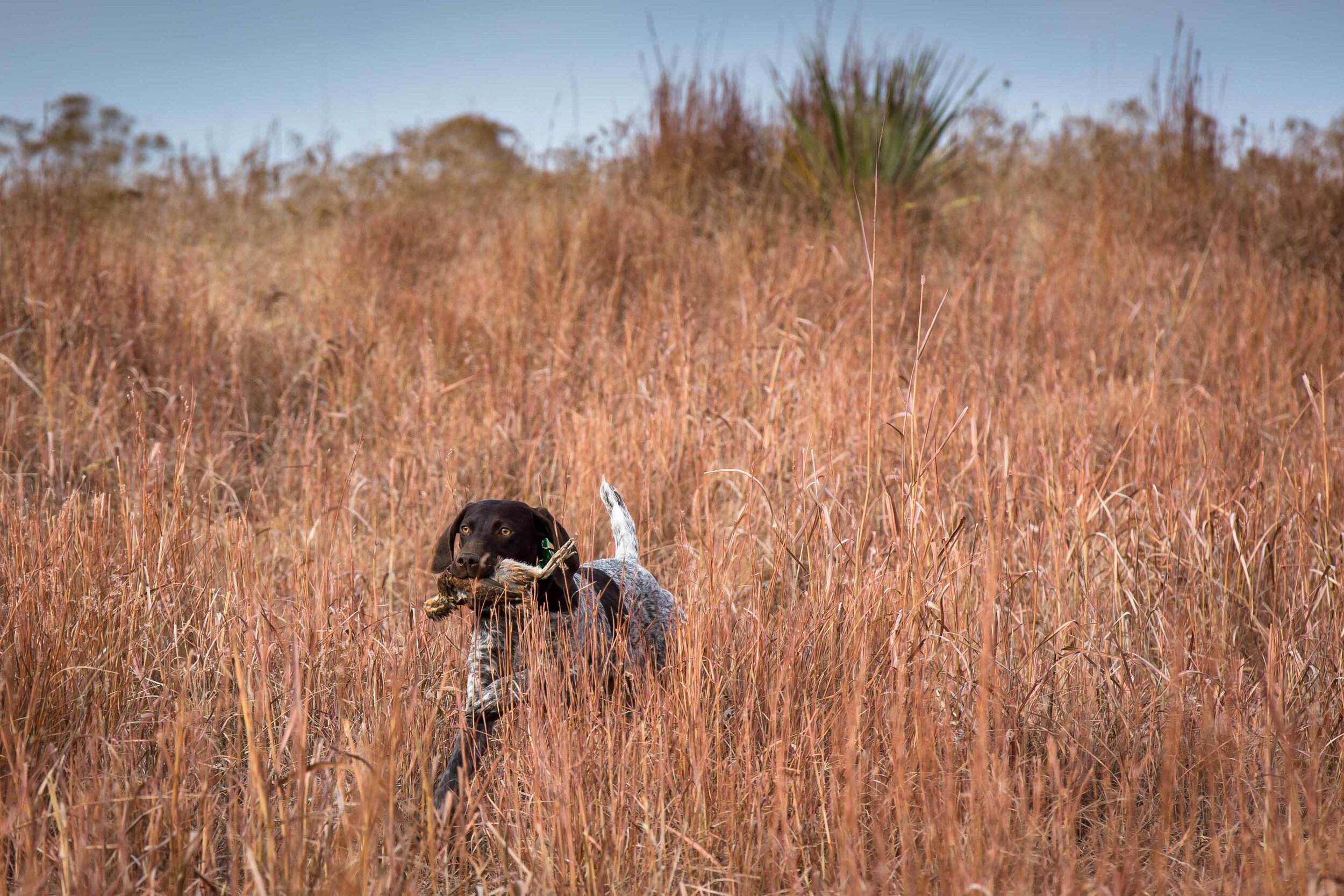 Thanksgiving 2019-30.jpg