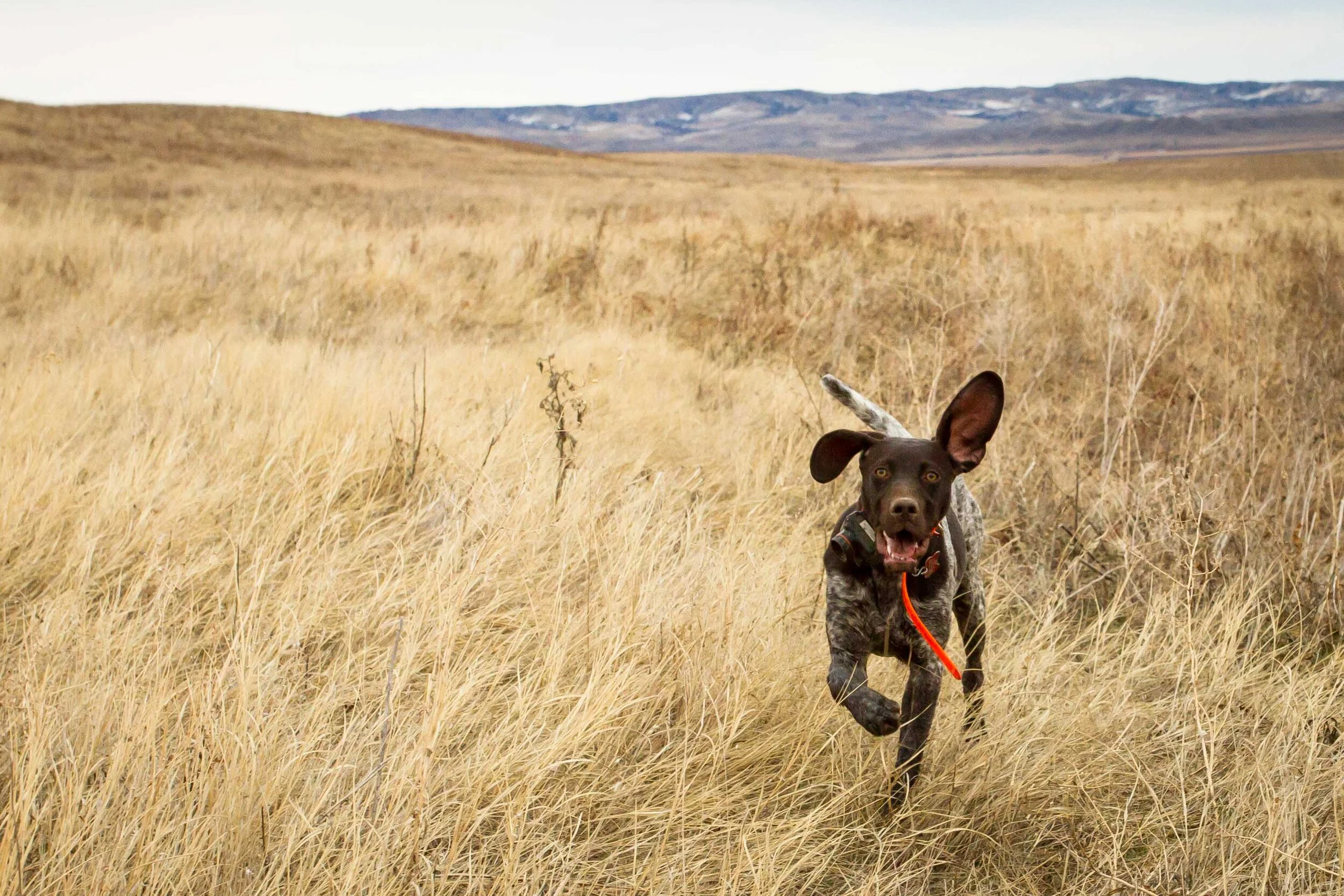 Rosie's 1st Bday Bash 2019_-45.jpg