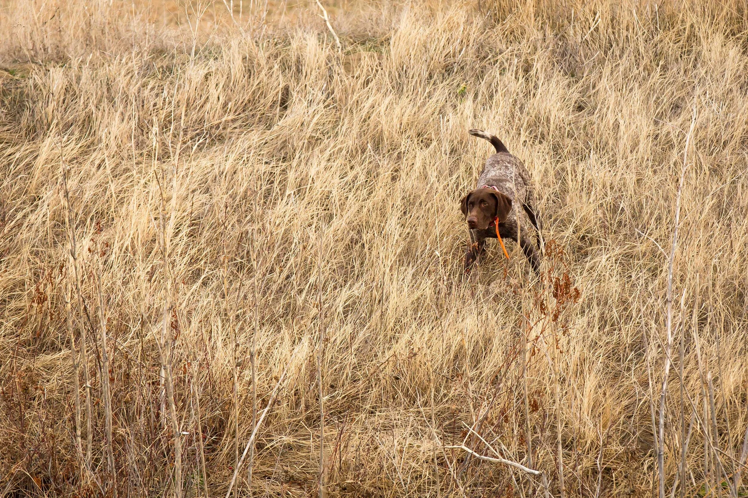 Rosie's 1st Bday Bash 2019_-24.jpg