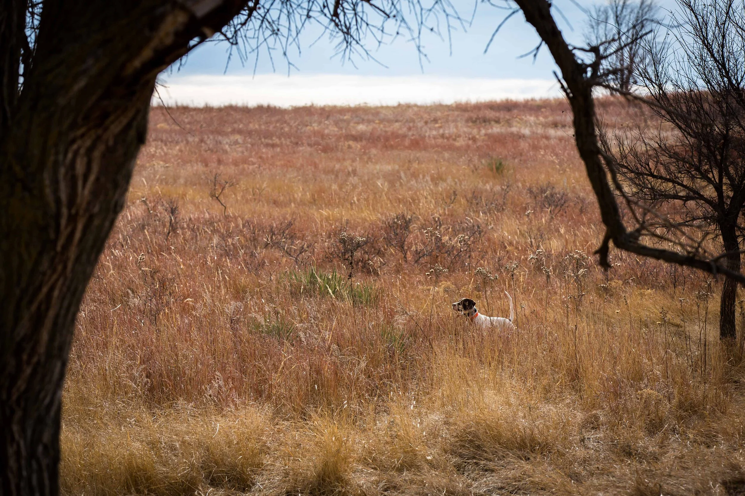 Thanksgiving 2019-43.jpg