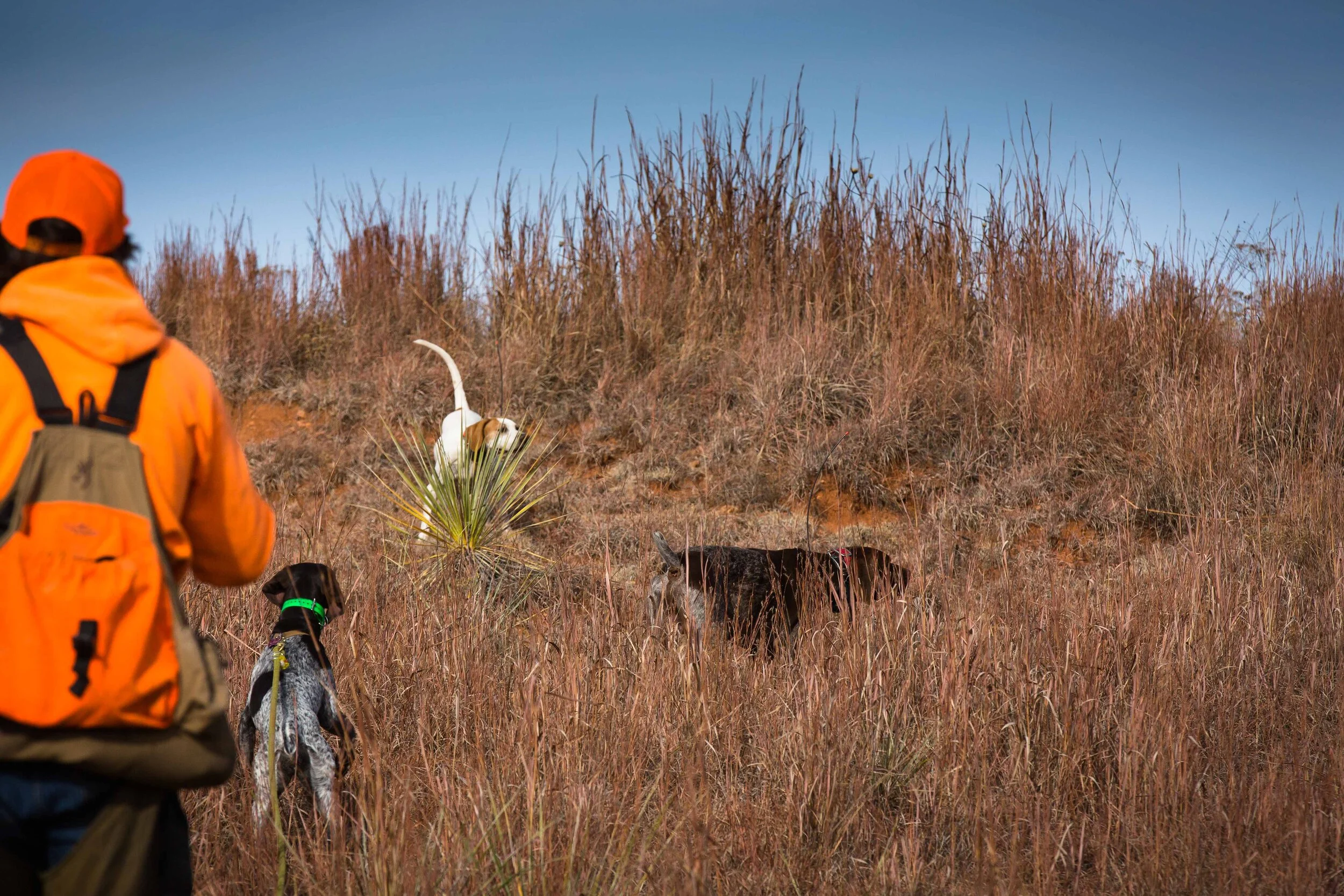 Thanksgiving 2019-5.jpg