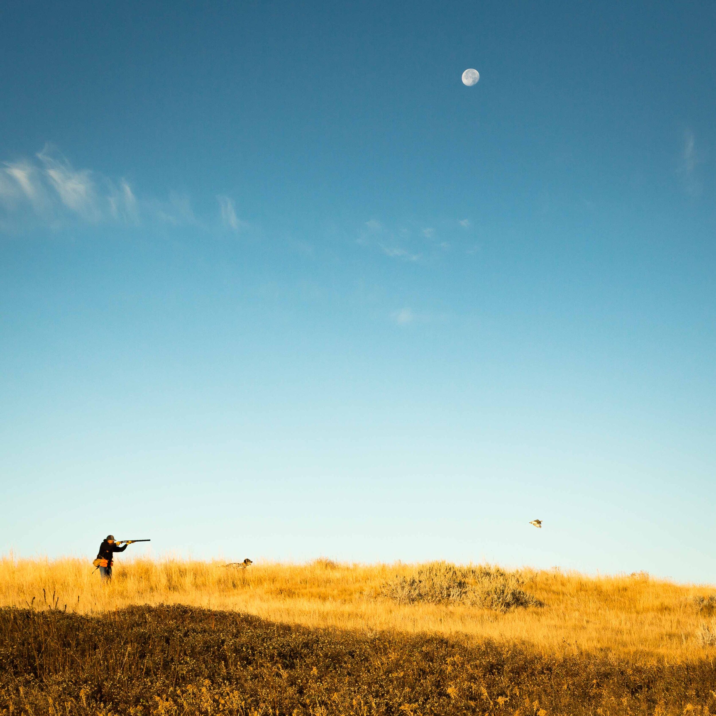 Livin' The Moon Times.jpg