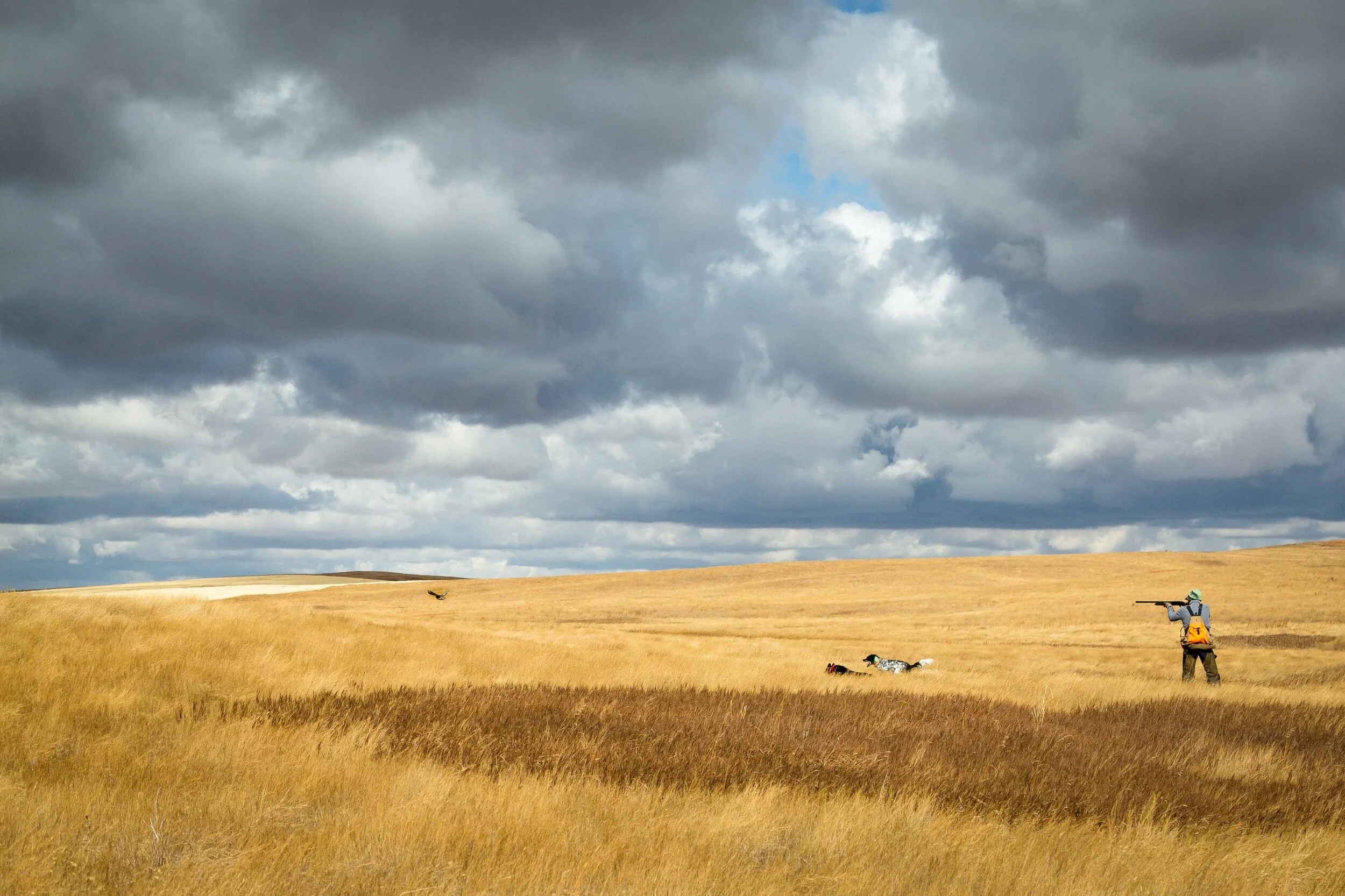 The Original Cosmic Combo-2.jpg