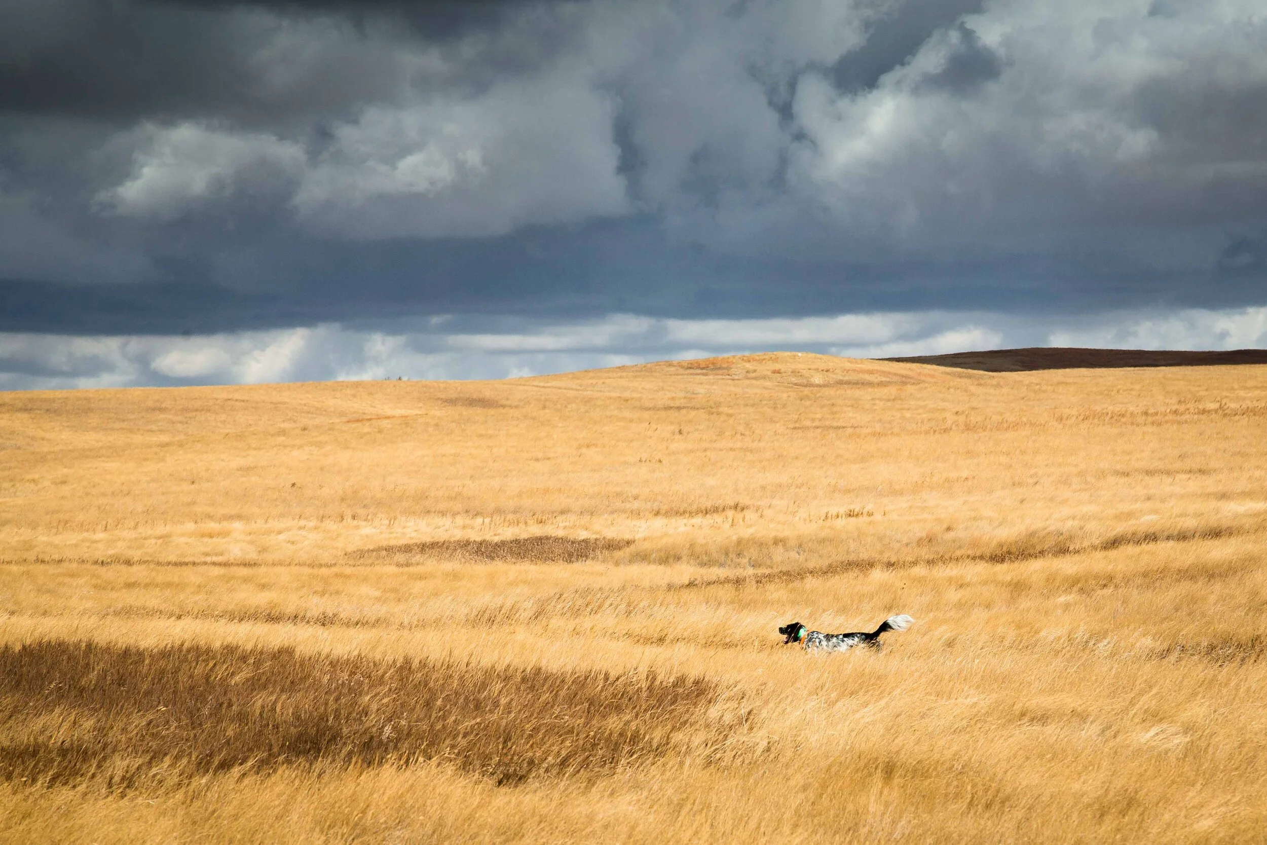 The Original Cosmic Combo.jpg