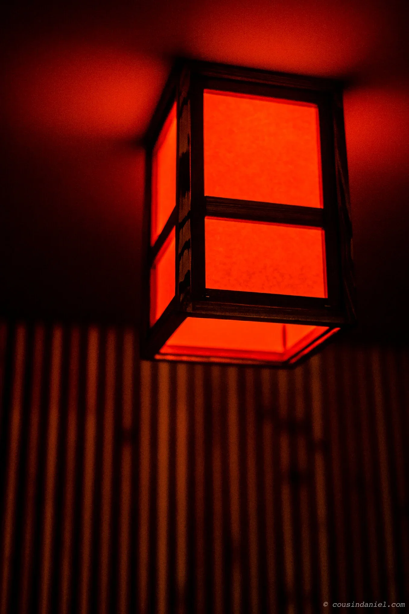 0009_DSC_3213.webp