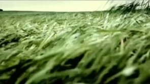 OPTIWIND Video Portuguese (Copy)