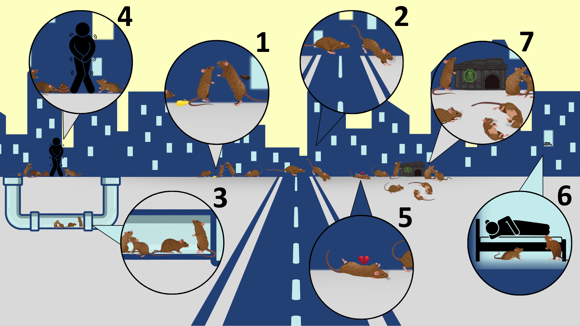 Lessons Learned from the Vancouver Rat Project