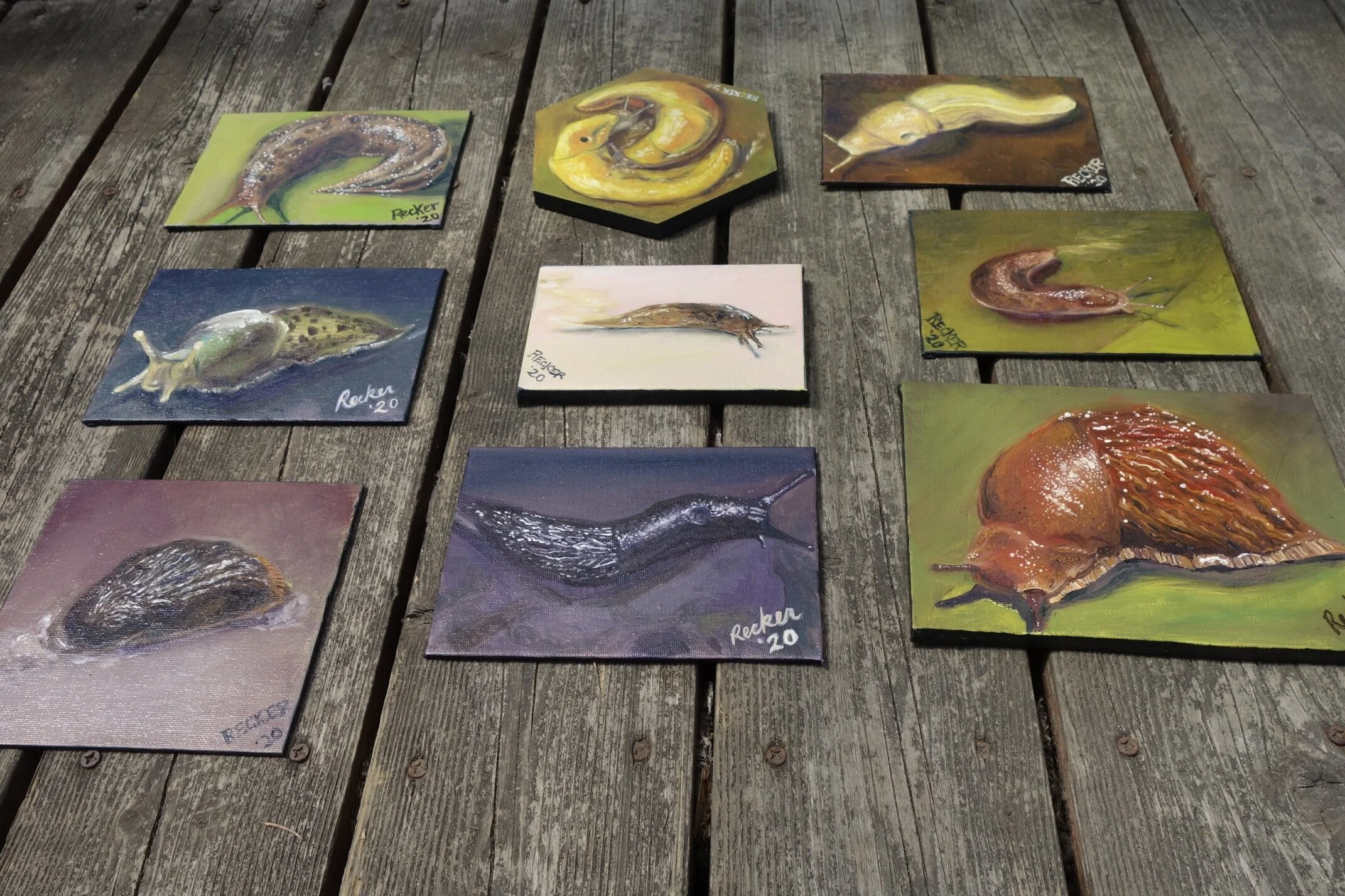 Portfolio | Discover Art Today — Salish Sea Ceramic Studio