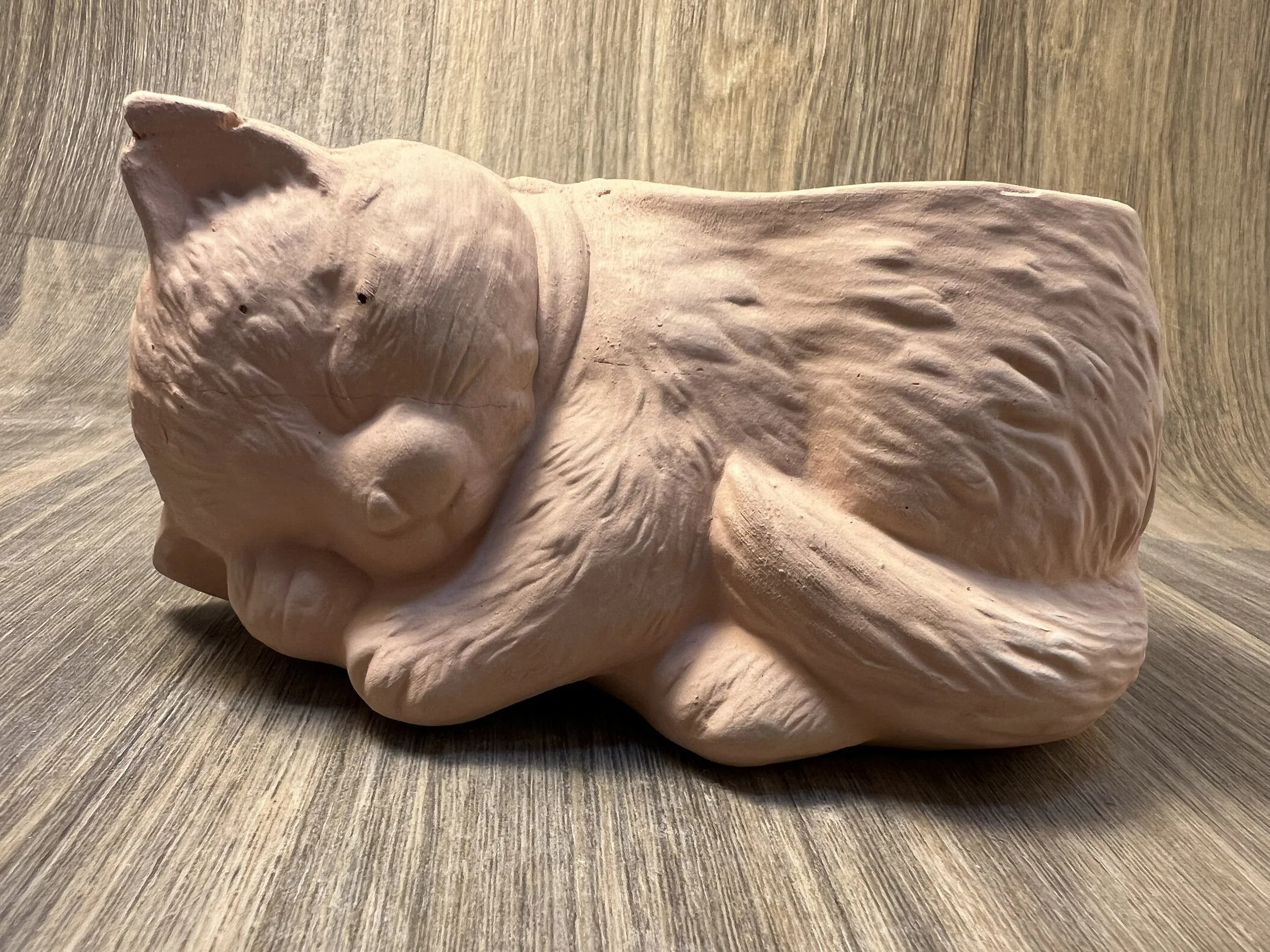 Pet Portrait Pottery! Finally — Salish Sea Ceramic Studio