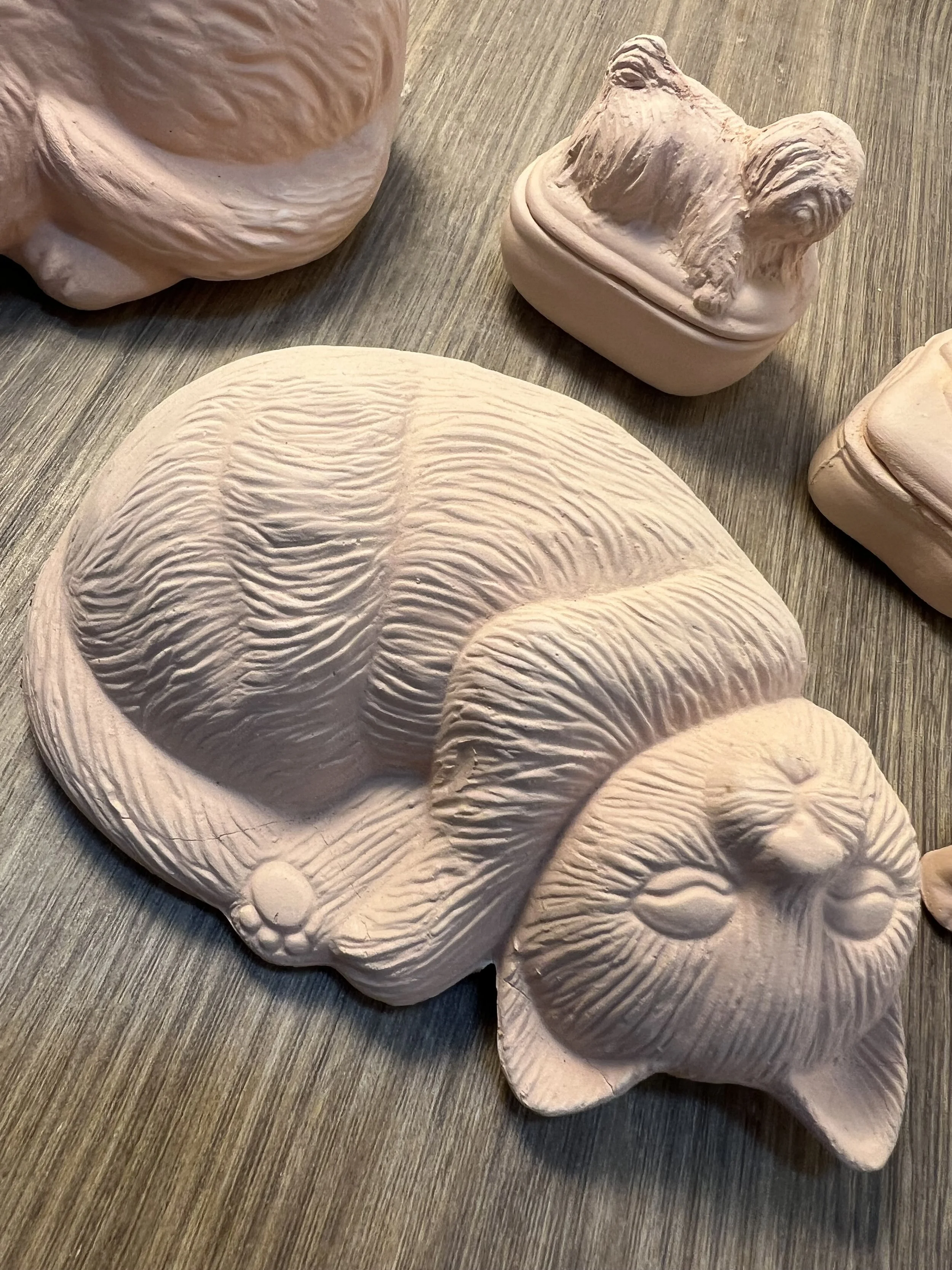 Pet Portrait Pottery! Finally — Salish Sea Ceramic Studio