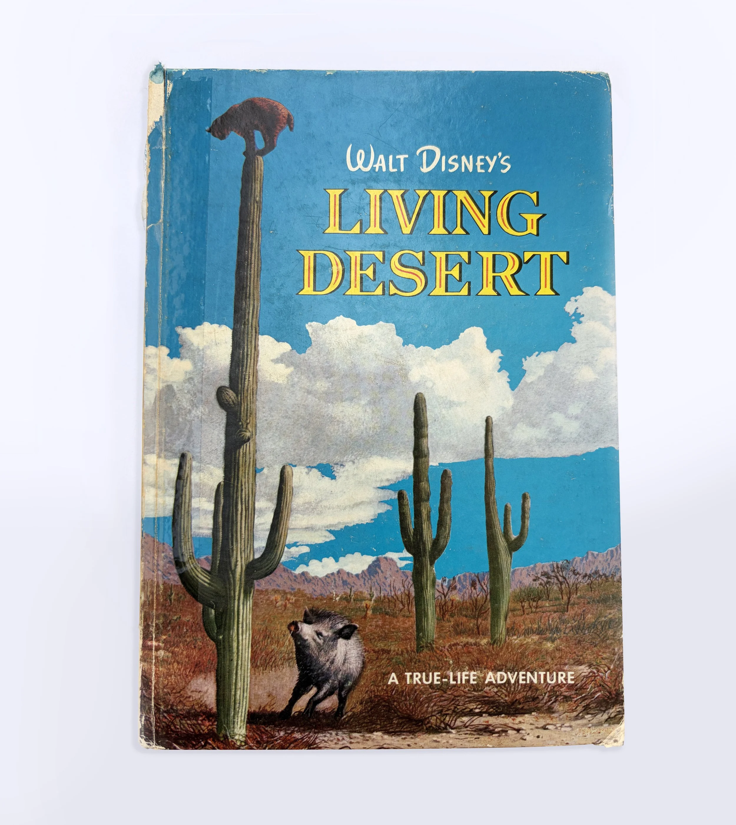cover of book with mountains and blue sky in the background and aimals and cactus in the foreground