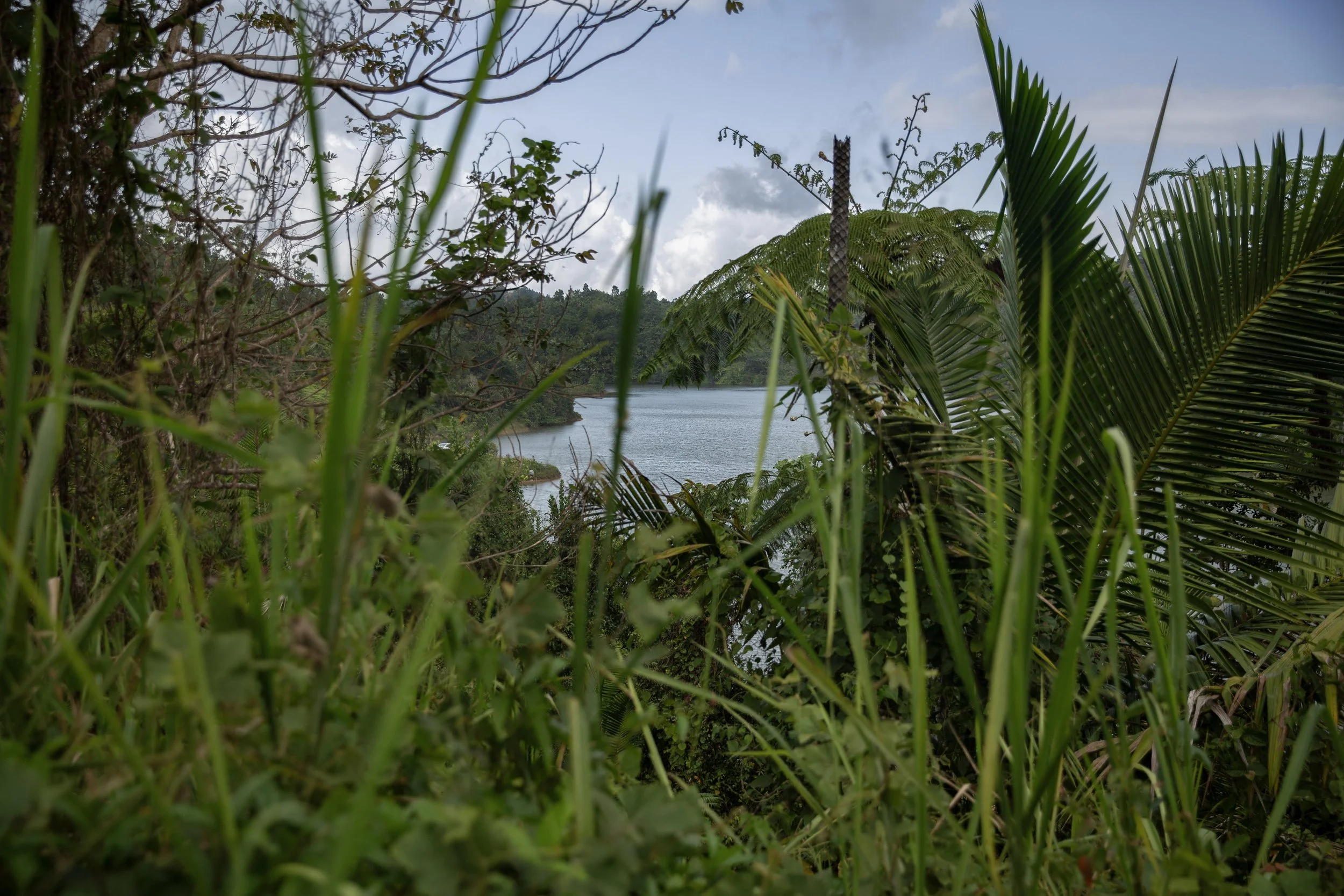 Tamara Cedré, Río de la Plata meets Lago Carite,  2026.