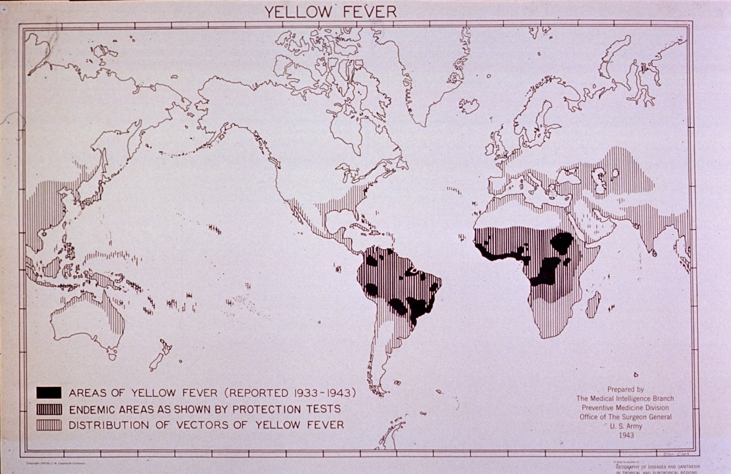 "Yellow Fever"
