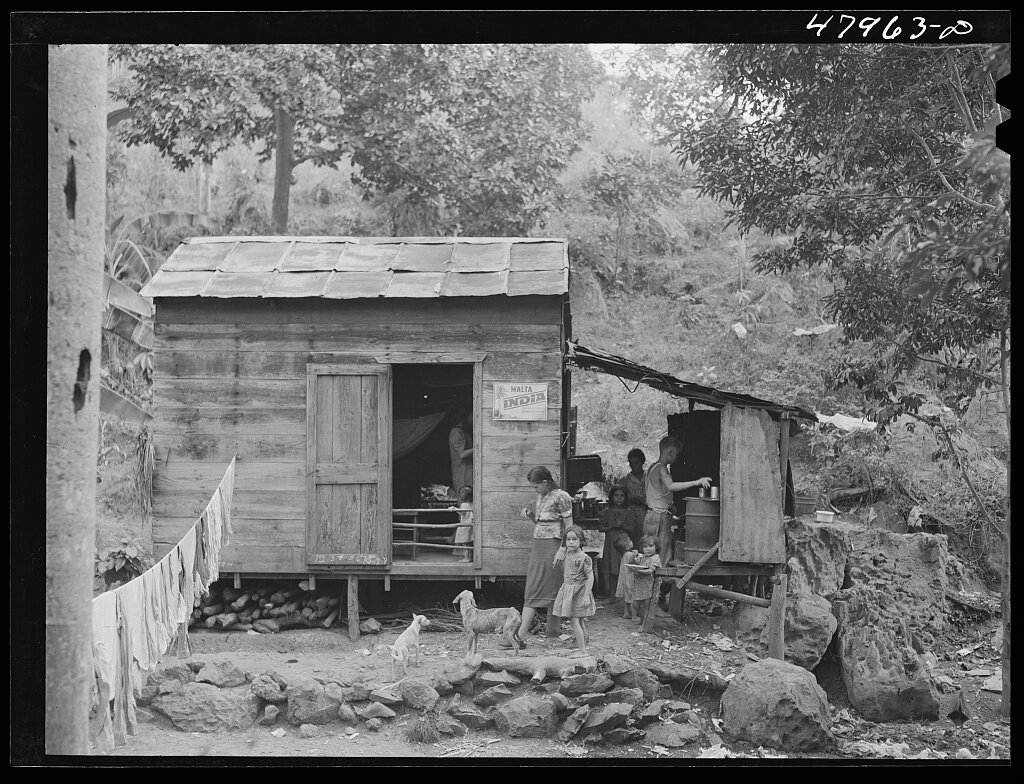 [Untitled photo, possibly related to: San German (vicinity). Farm laborer's family in the hills]