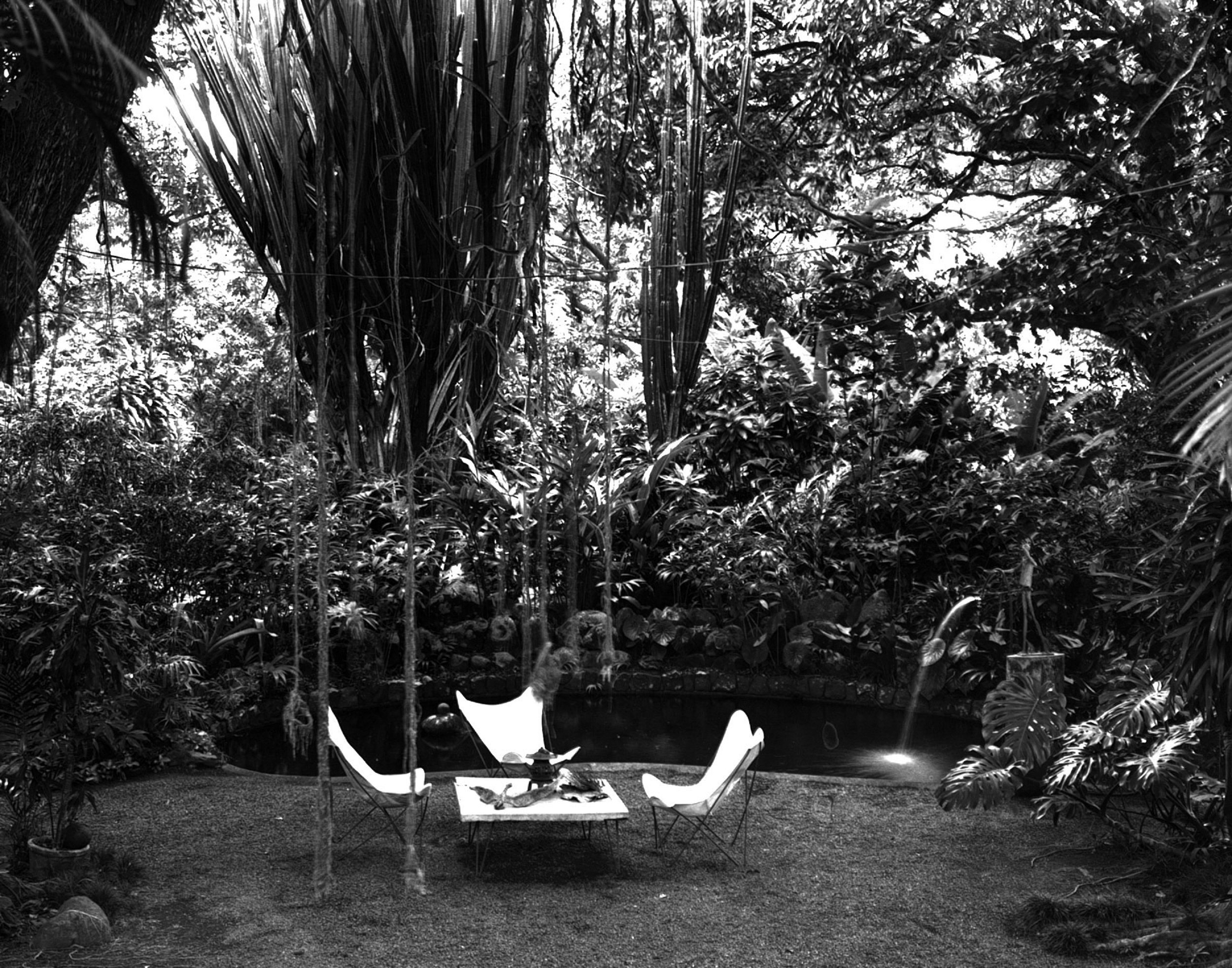  Tres sillas al lado del estanque del jardín de Casa Klumb. © AACUPR - Archivo Arquitectura y Construcción Universidad de Puerto Rico. 