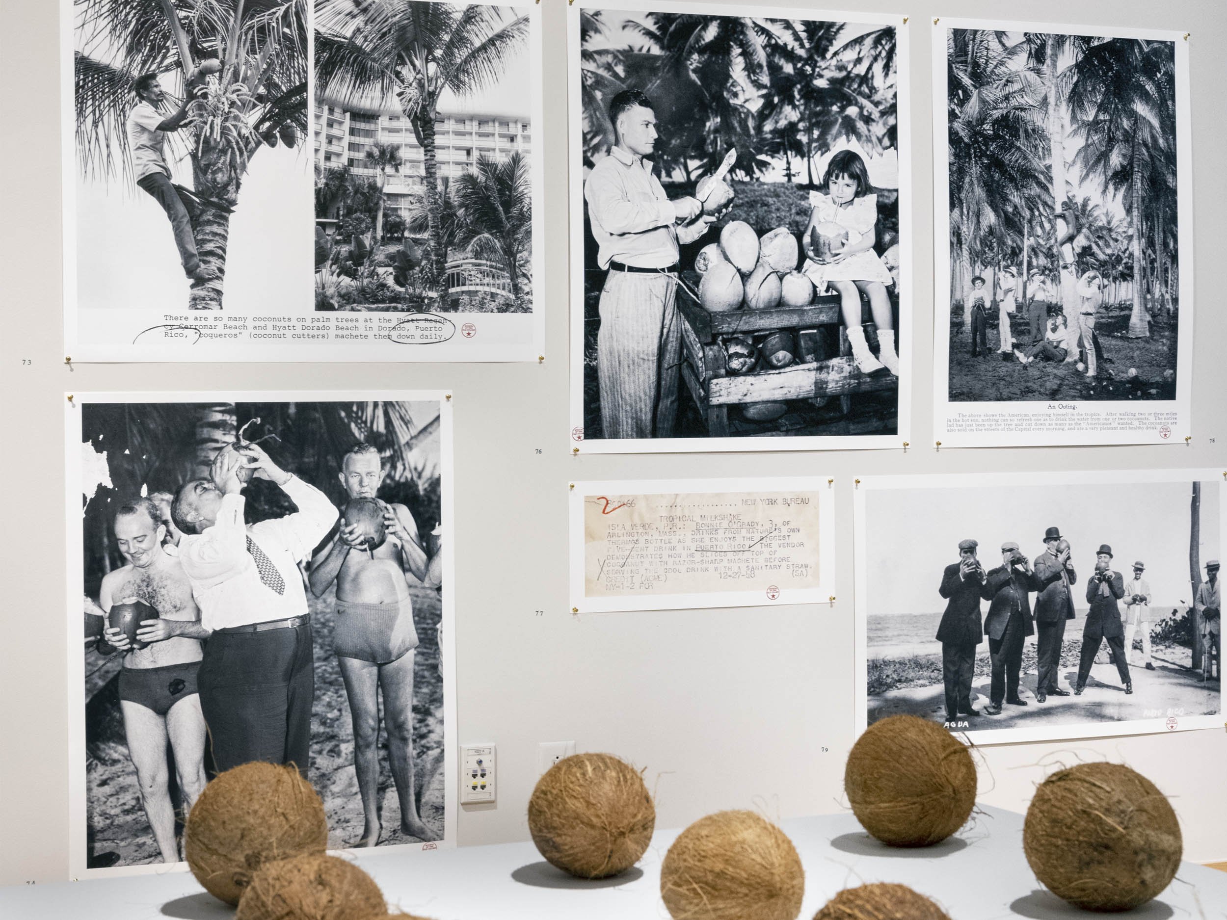  Installation view (cropped).  Platos y Cocos  (detail in foreground) and coconut-related photographs and captions. Clockwise from 1946, after 1971, 1948, circa 1898, and early 20th-century   |   2019-2021.  The Museum of the Old Colony , Duke Hall G