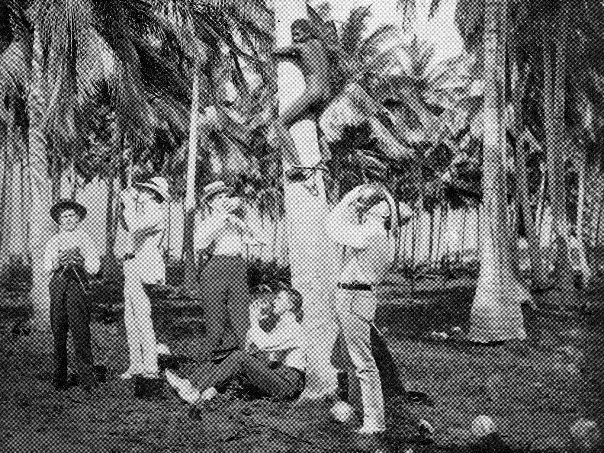  An Outing  (cropped). Page from unidentified book, circa 1898. Same photograph with caption:  Gathering ‘Cocoa de Agua’ near San Juan, P.R.  in  Annual Reports of the War Department… , Government Printing Office, Washington. D.C., 1899 | 2019.  The