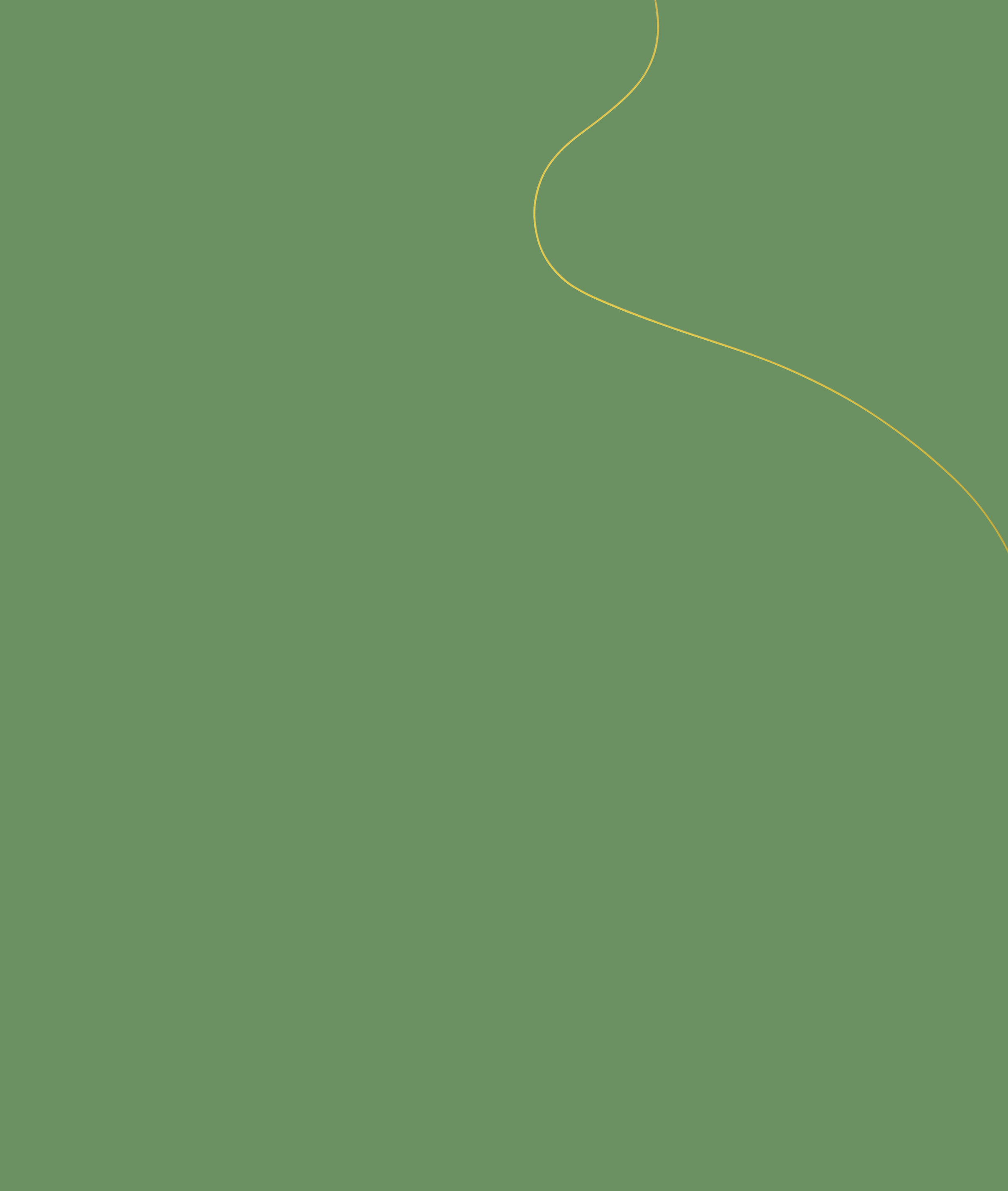  Virginia Jaramillo (American, born 1939),  Green Dawn , 1970, acrylic on canvas, 837⁄8 x 721⁄8 inches, The Joyner/Giuffrida Collection. © Virginia Jaramillo. Image courtesy of the artist and Hales, London and New York. Photo: Phoebe d'Heurle.  